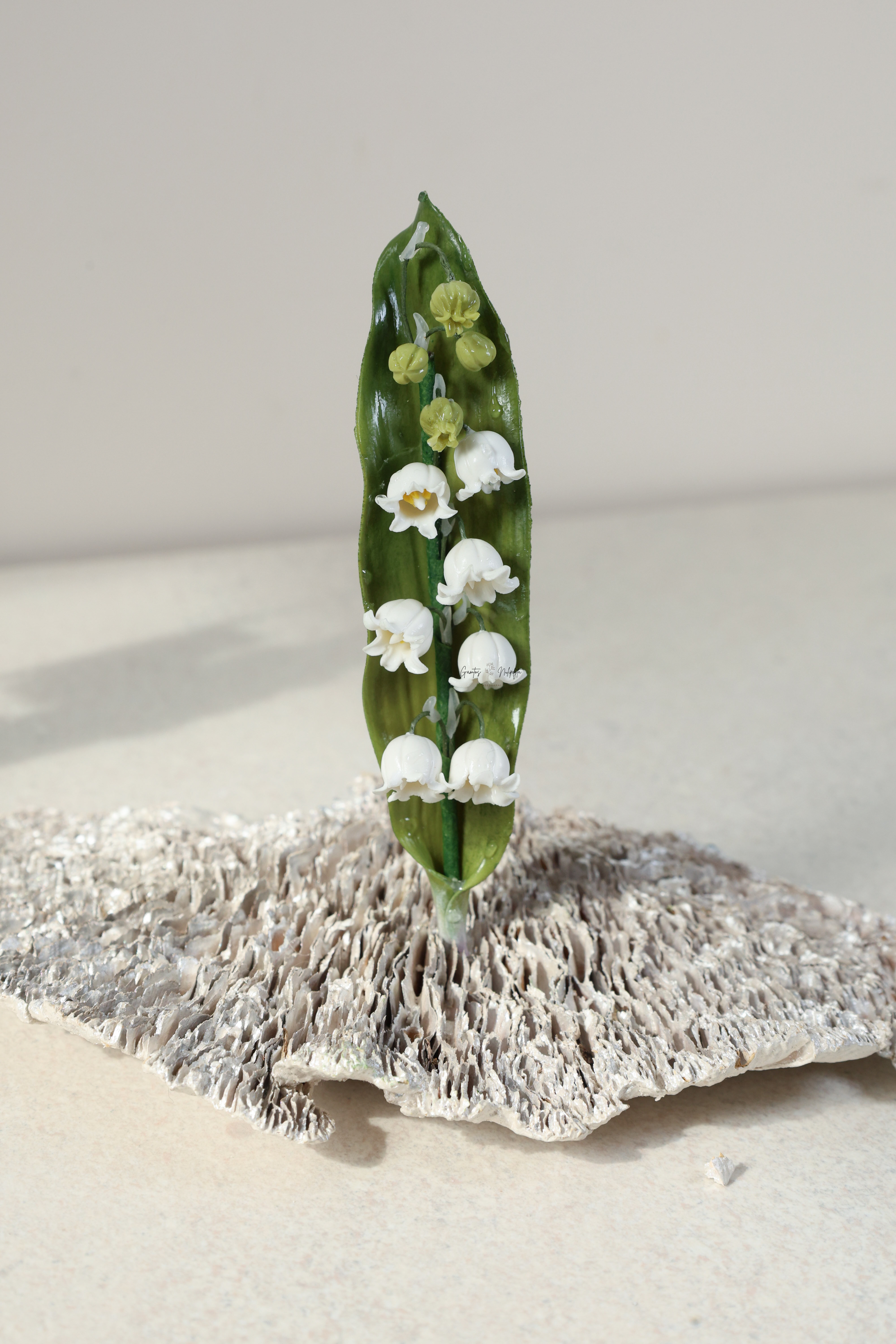 SAGĖ "PAKALNUČIŲ ŠAKELĖ"