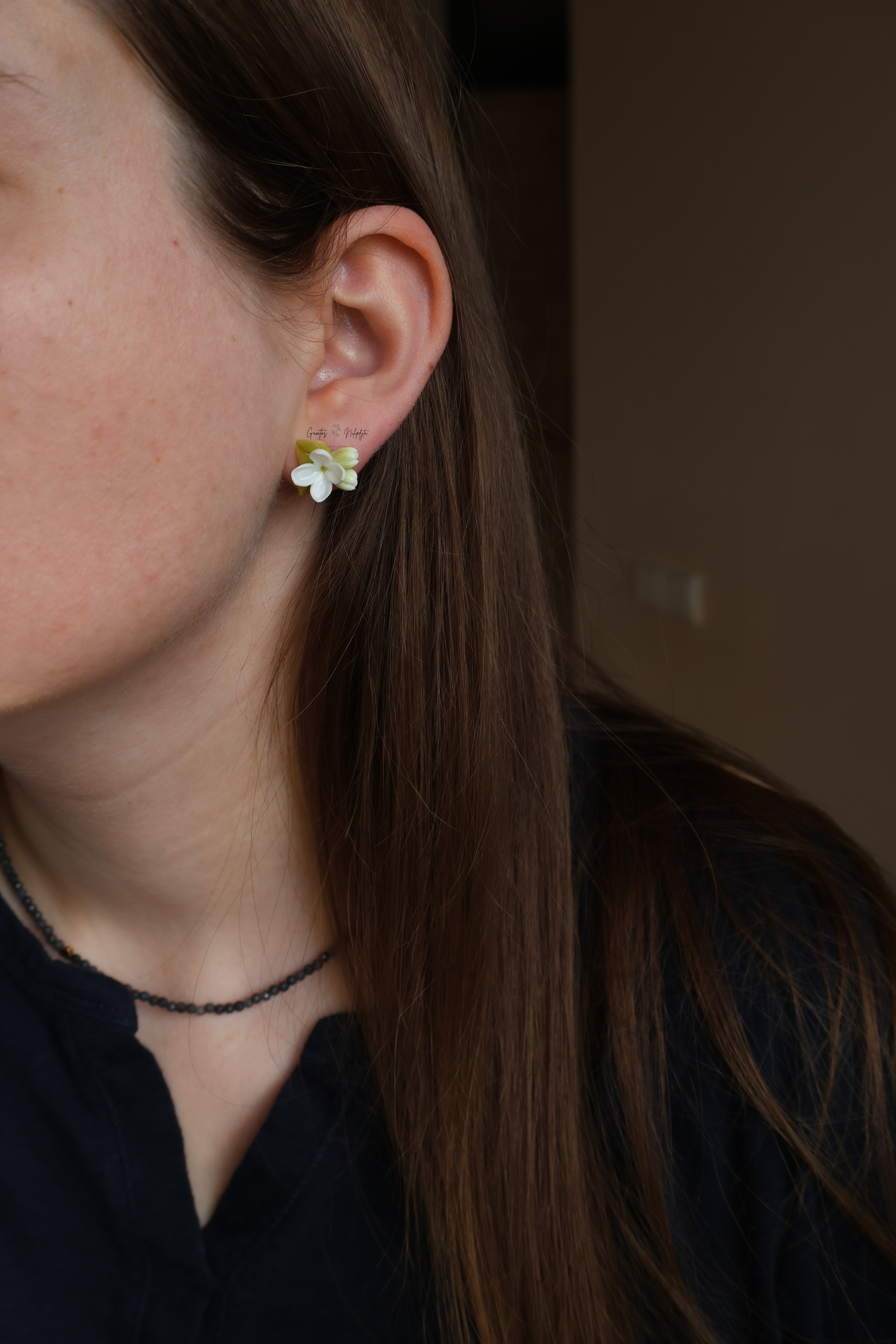 AUSKARAI "ALYVOS" NER.PL.VIN.