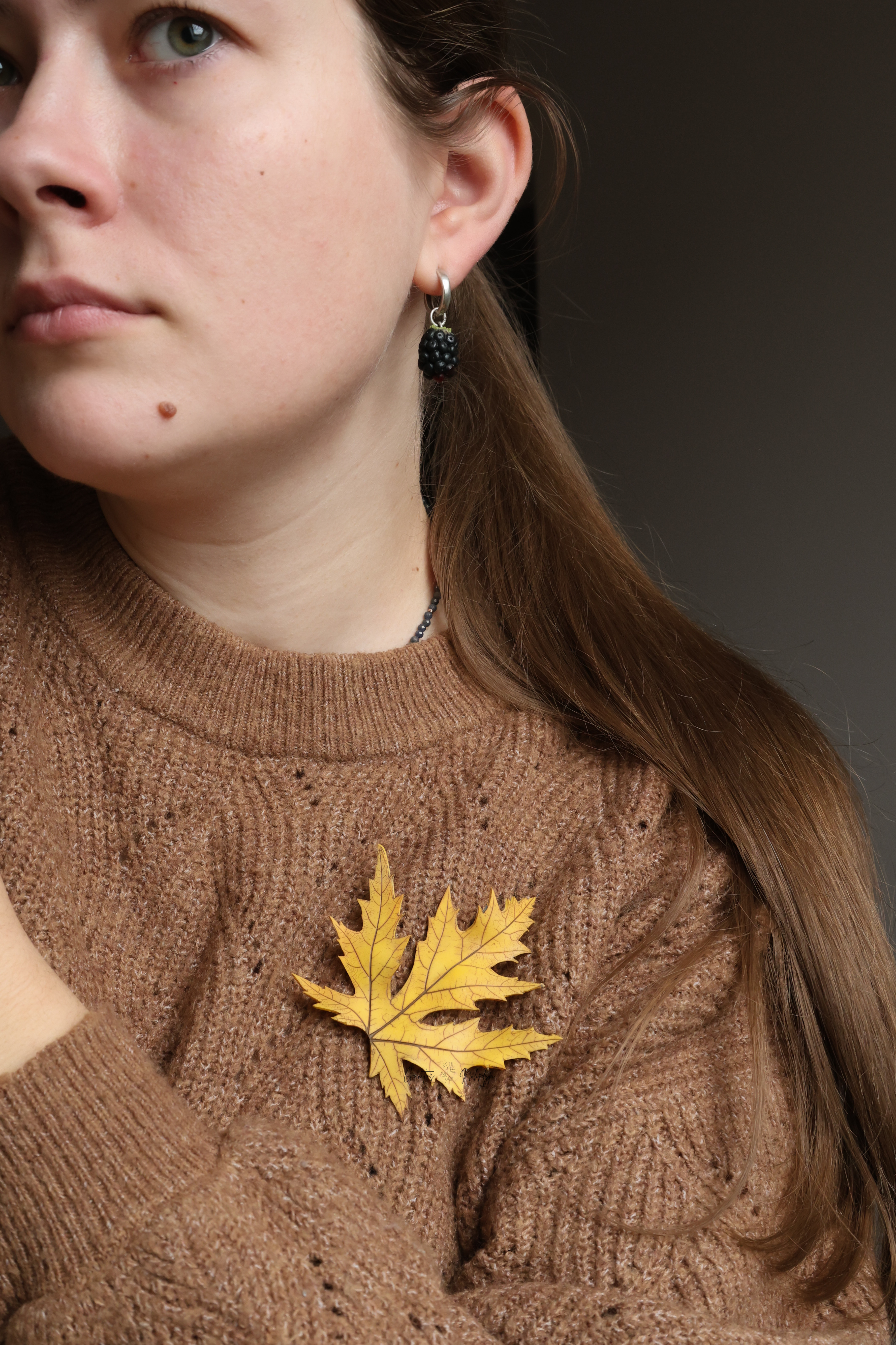 SAGĖ "KLEVO L." SU ŽIOGELIU