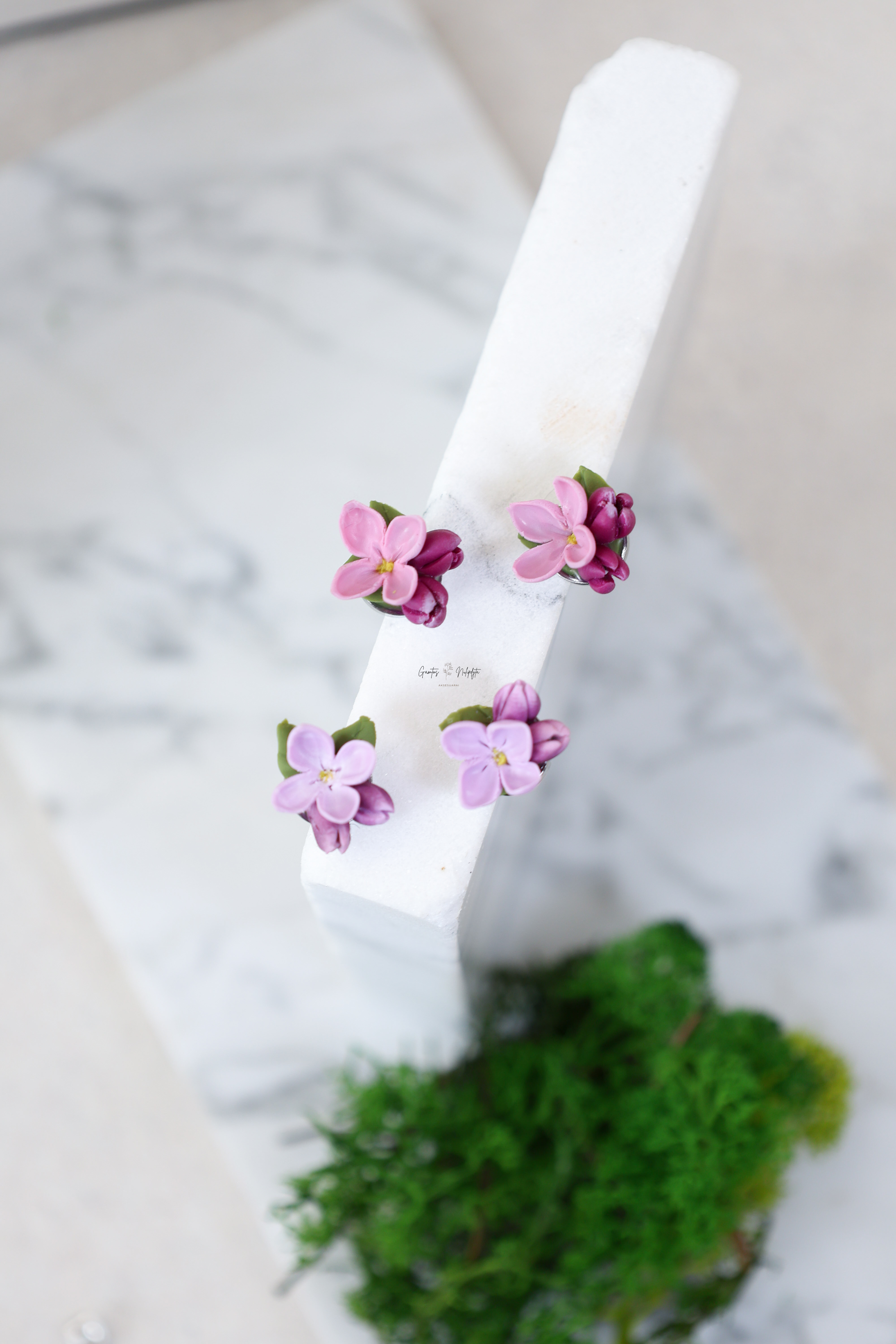 AUSKARAI "ALYVOS" NER.PL.VIN.