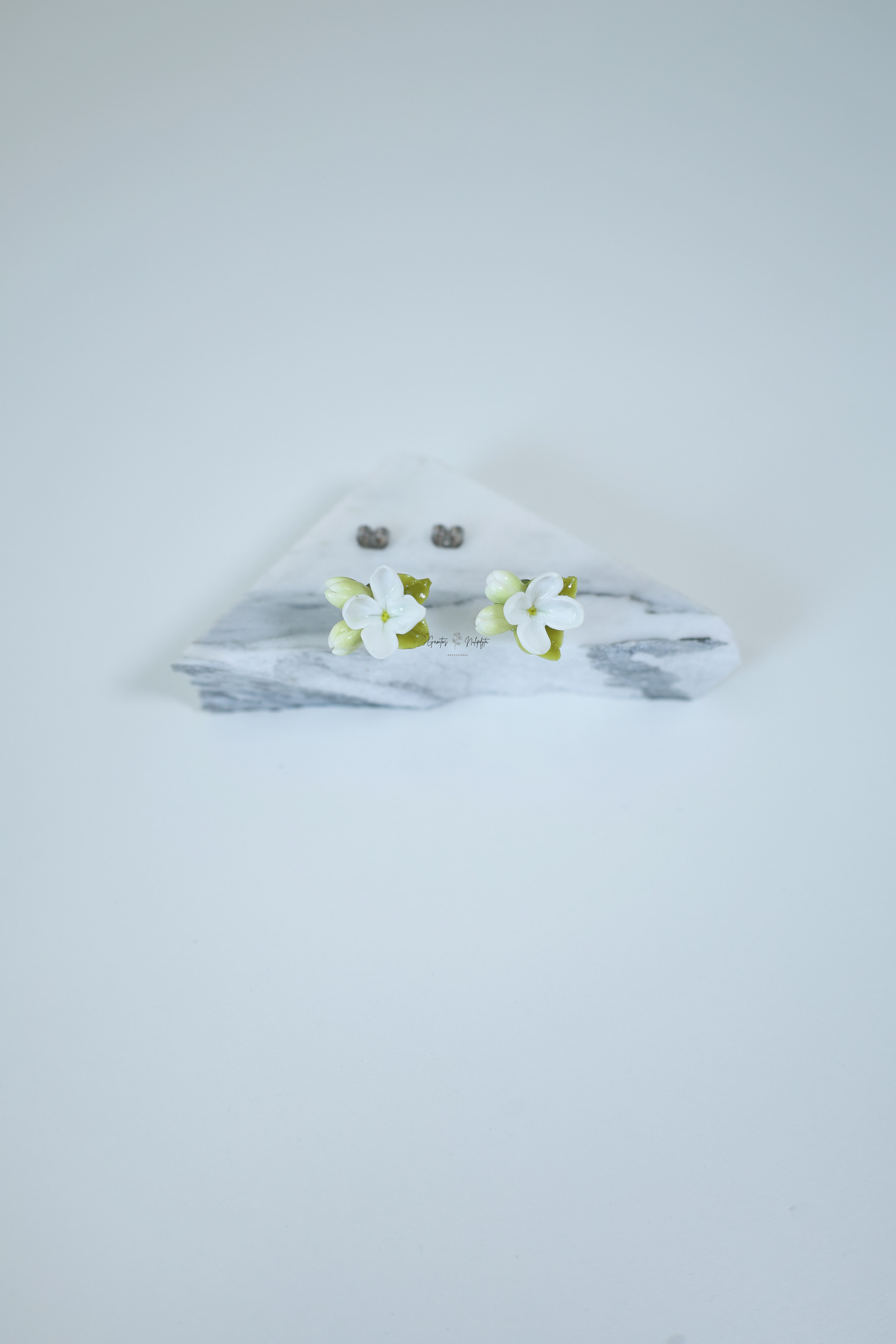 AUSKARAI "ALYVOS" NER.PL.VIN.