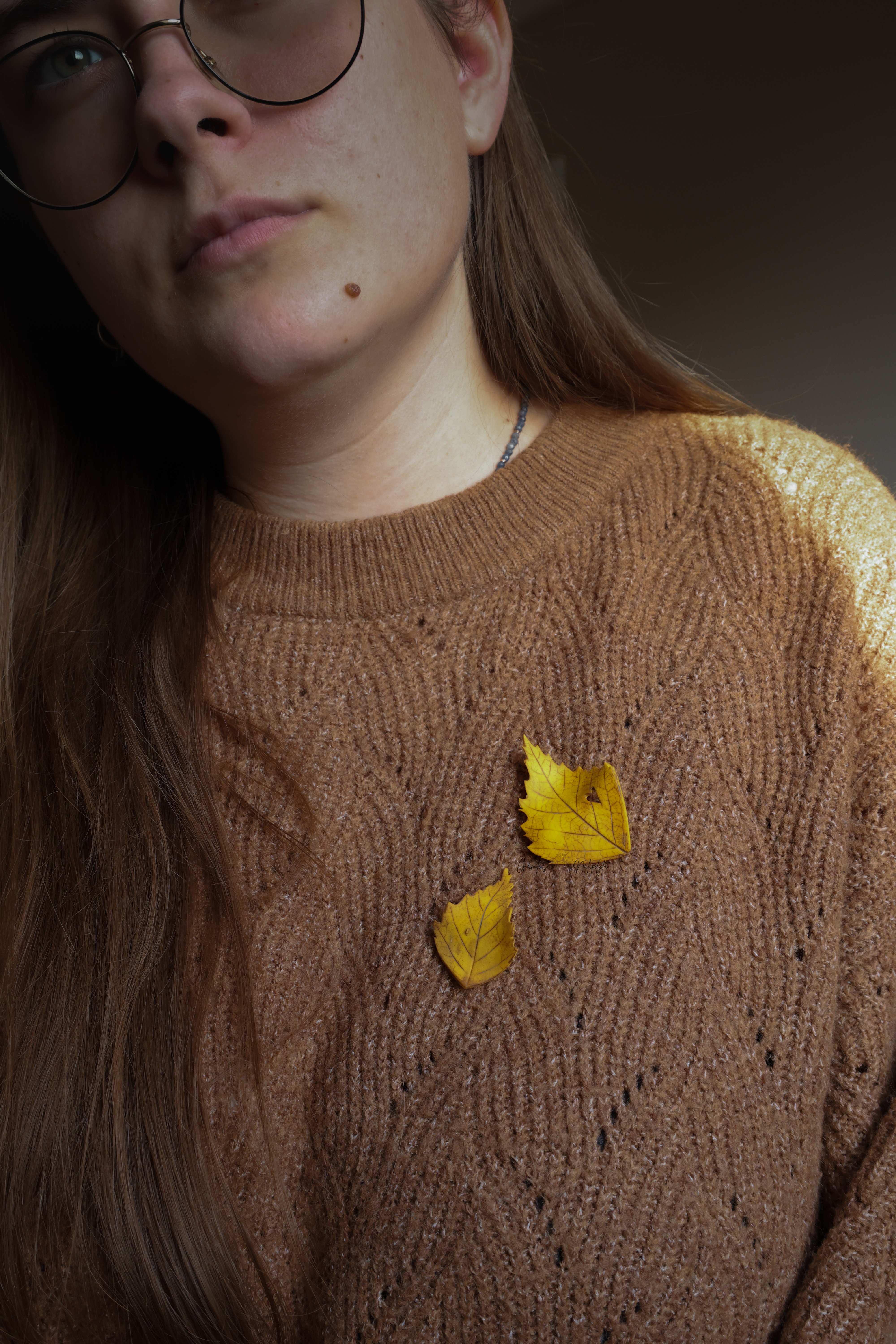 SAGĖ "BERŽO L." SU ŽIOGELIU