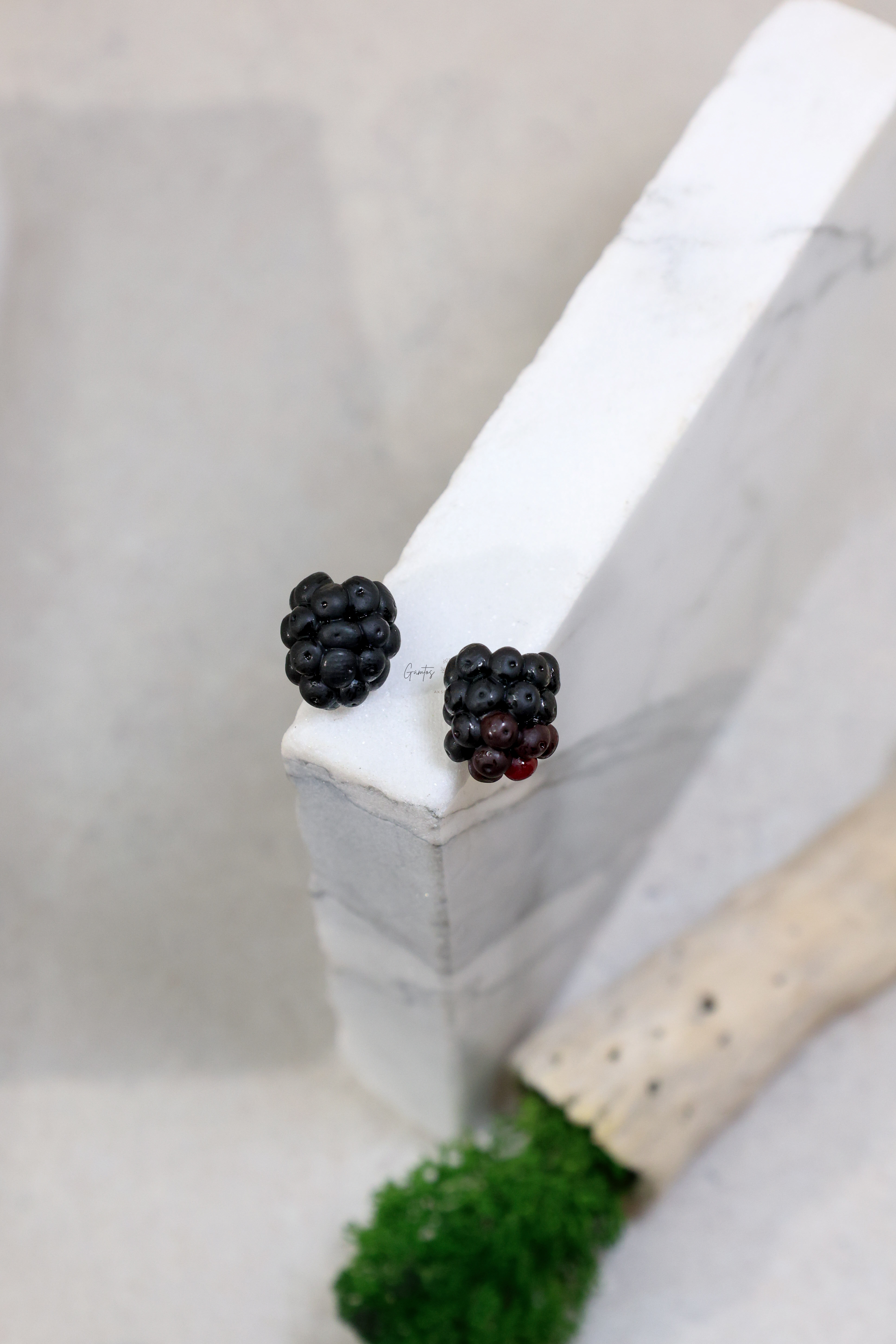 AUSKARAI "GERVUOGĖS" 