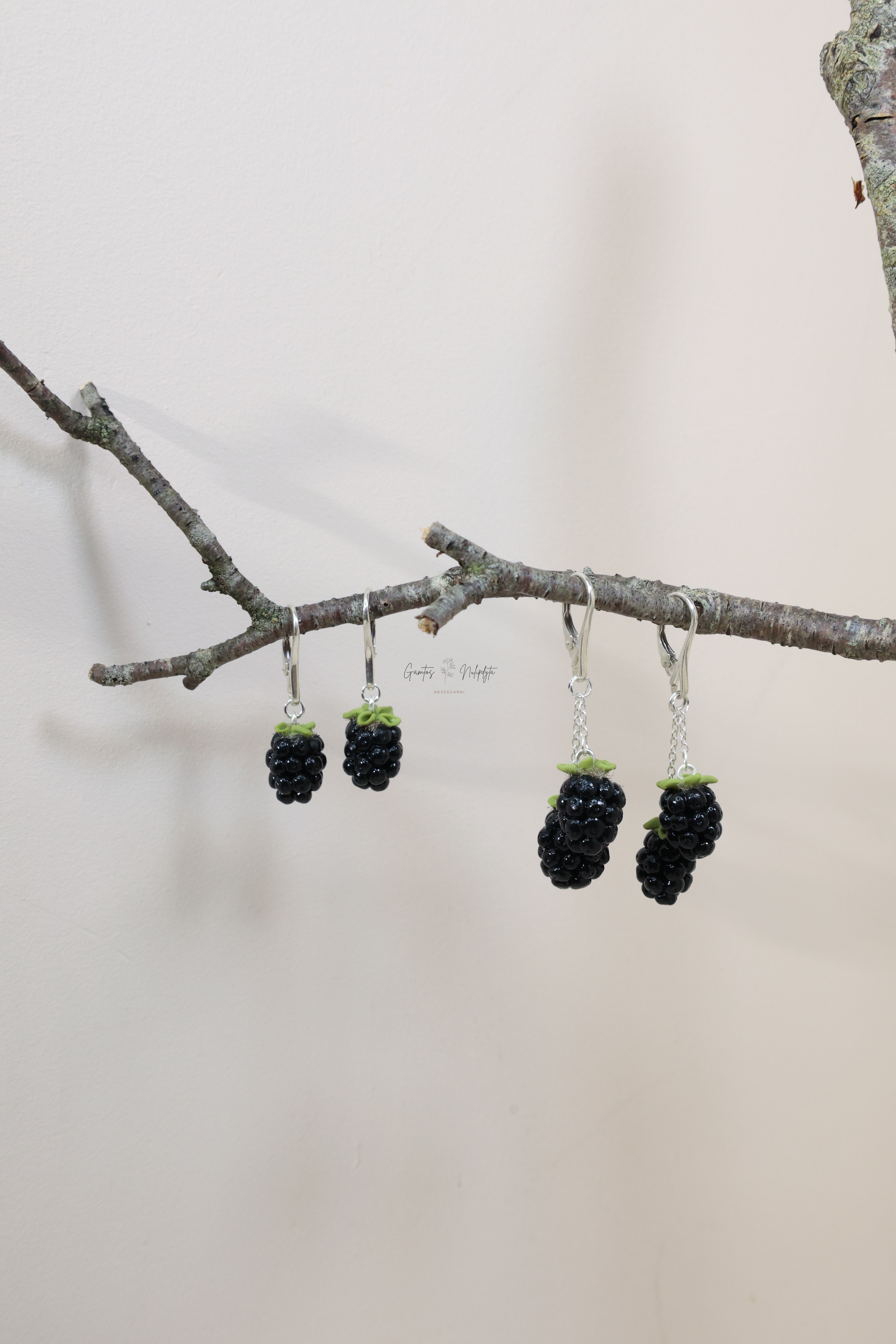 AUSKARAI " GERVUOGĖS" SID. ANGL. UŽS.