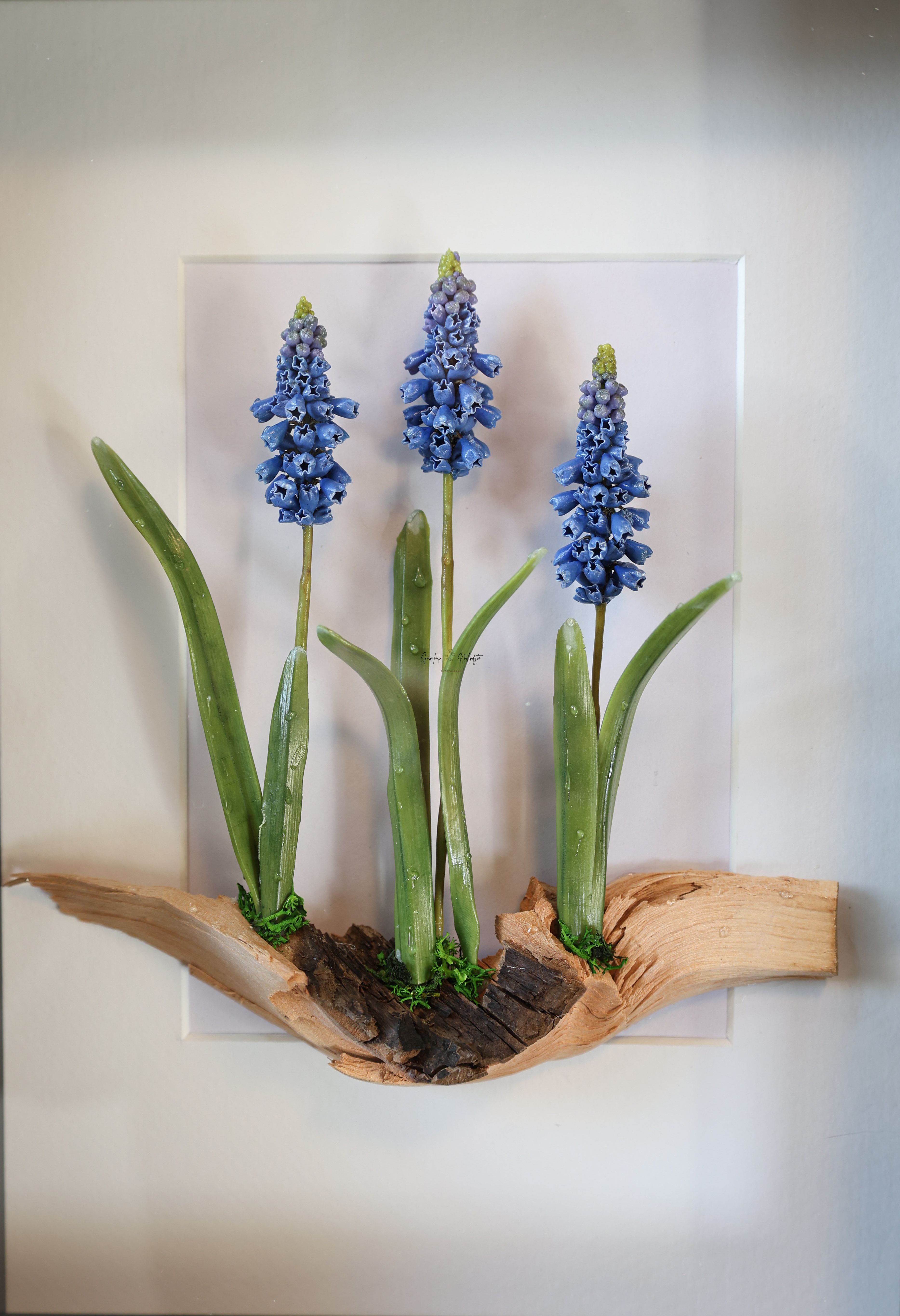 PAVEIKSLAS "ŽYDRĖS"