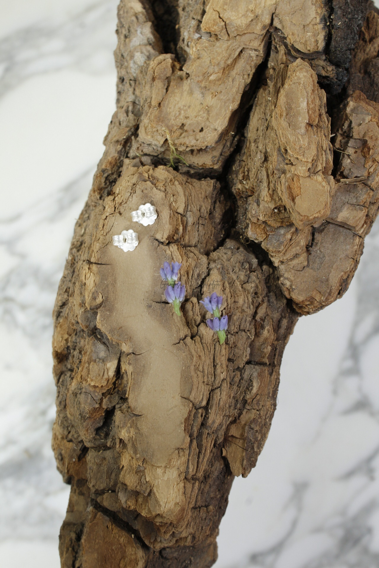 AUSKARAI "LEVANDŲ ŠAKELĖS" SID.VIN.