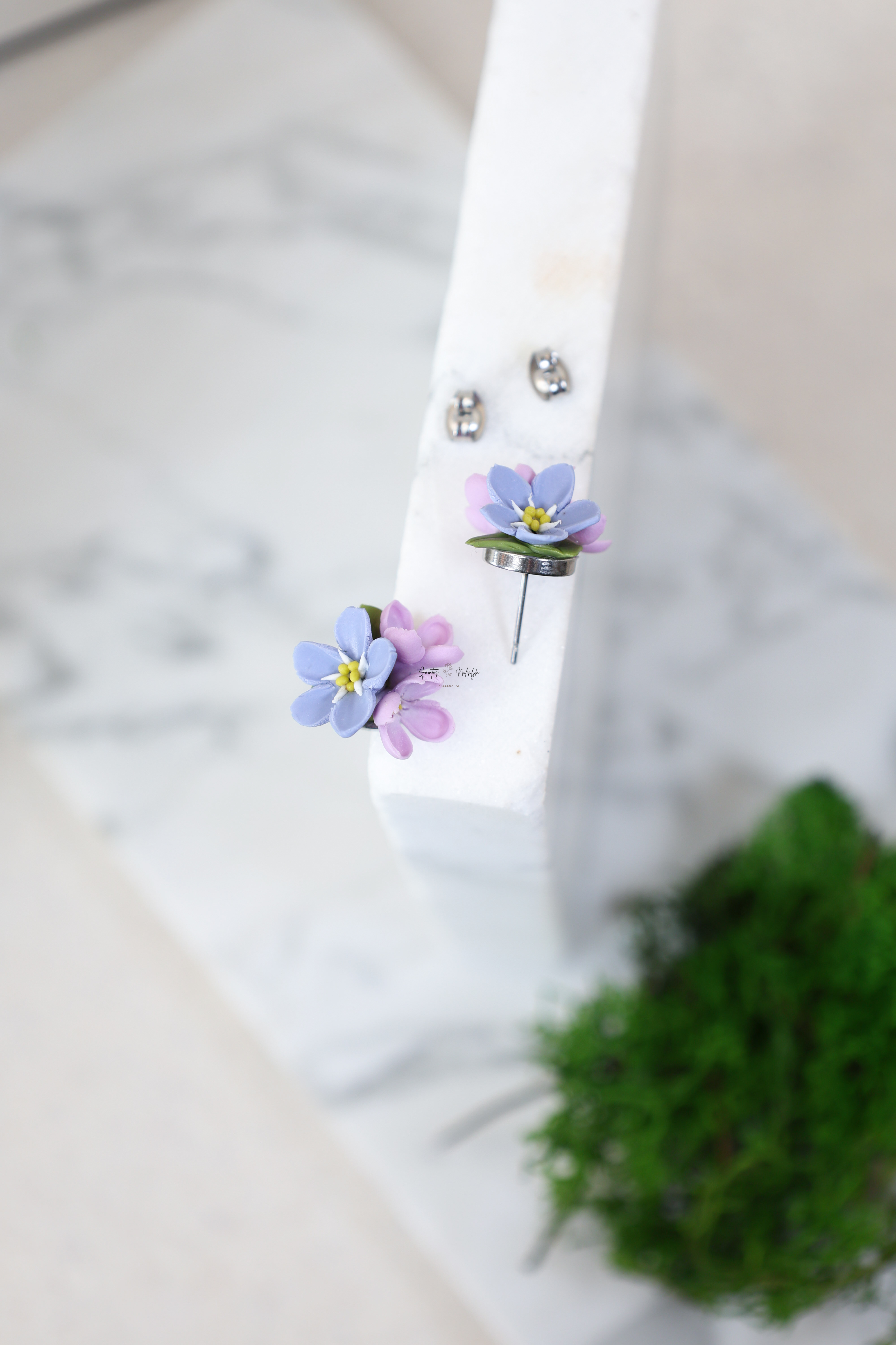 AUSKARAI "NEUŽMIRŠTUOLĖS+ALYVOS" NER.PL.VIN.