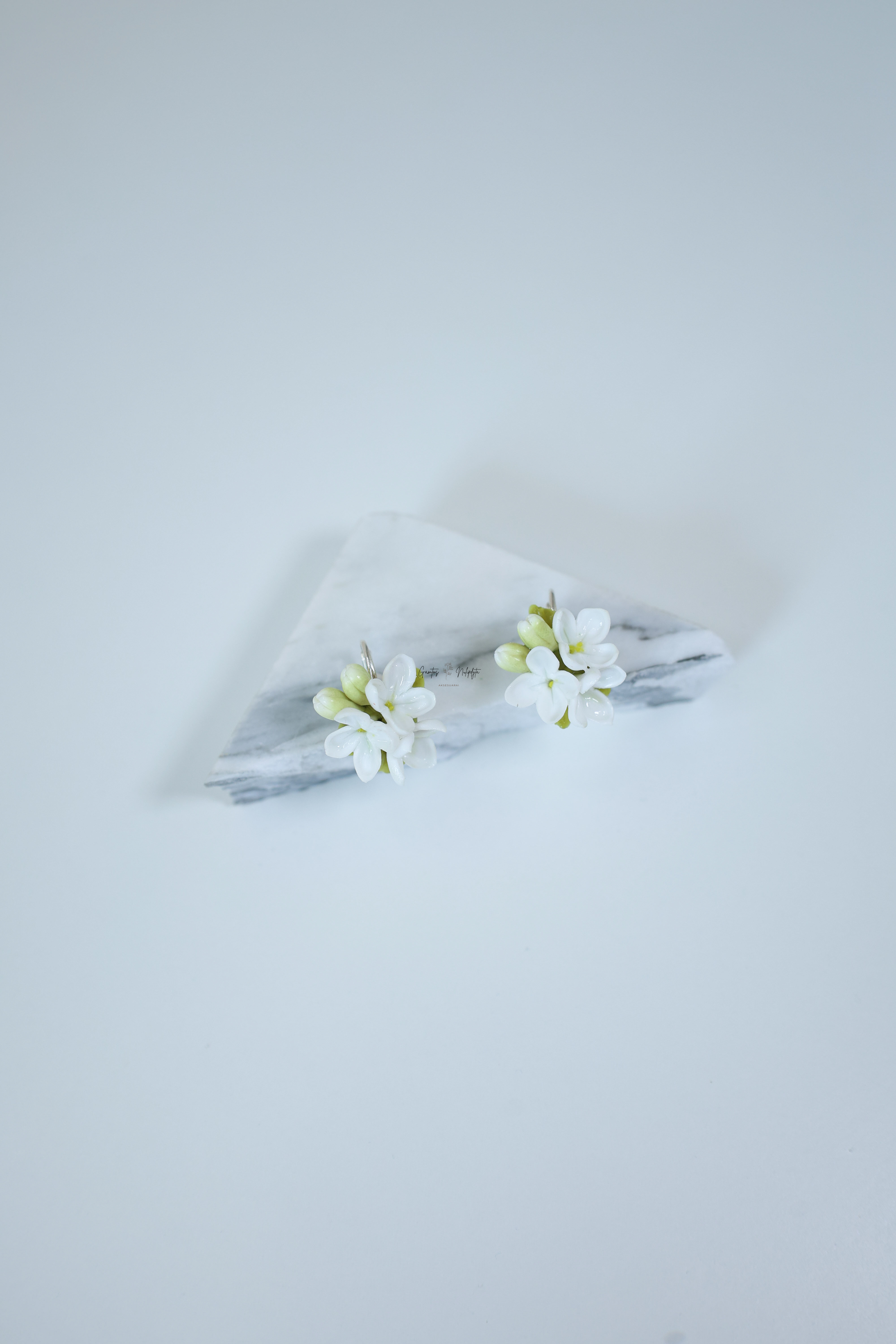 AUSKARAI "ALYVOS" ANGL.UŽS.