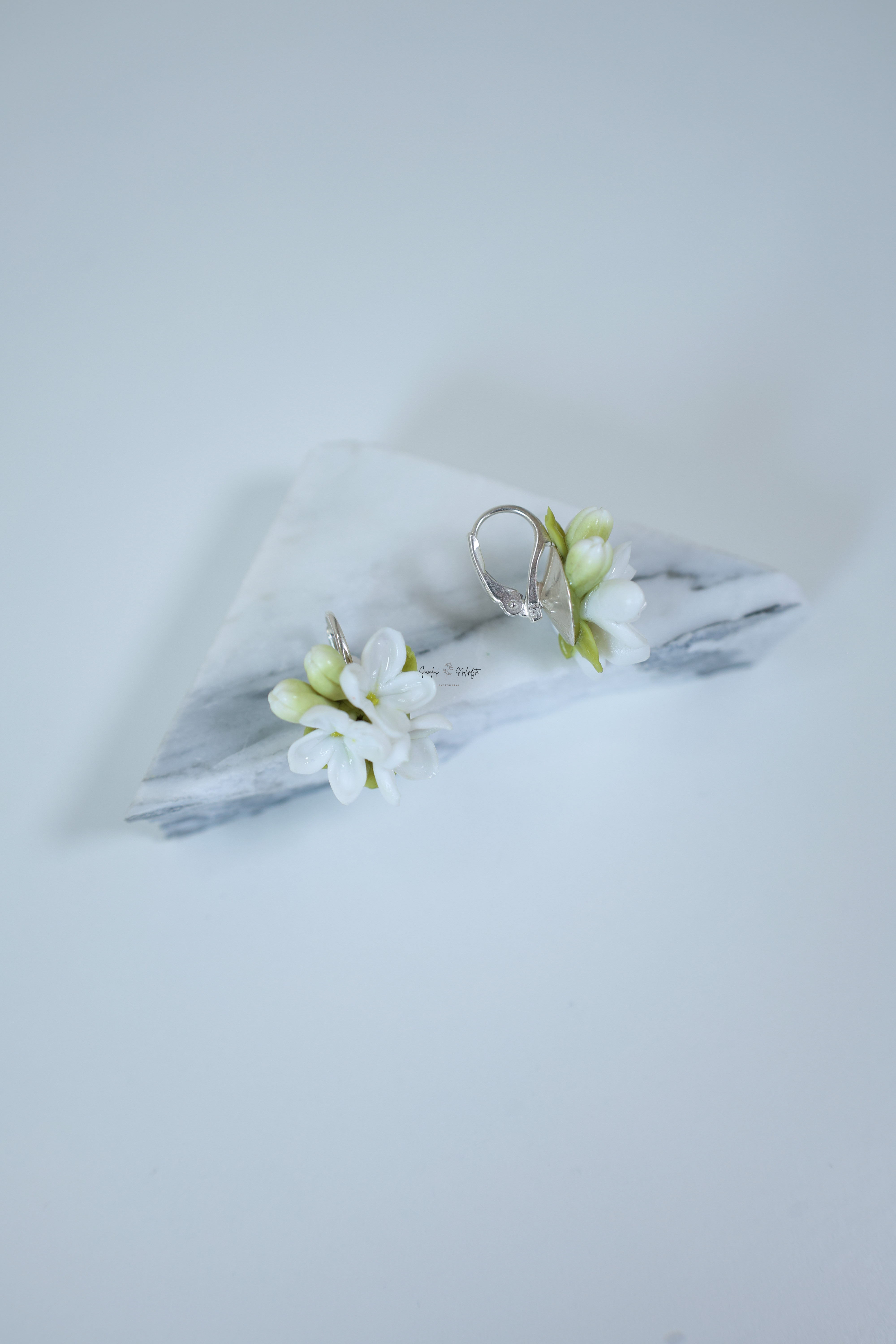 AUSKARAI "ALYVOS" ANGL.UŽS.