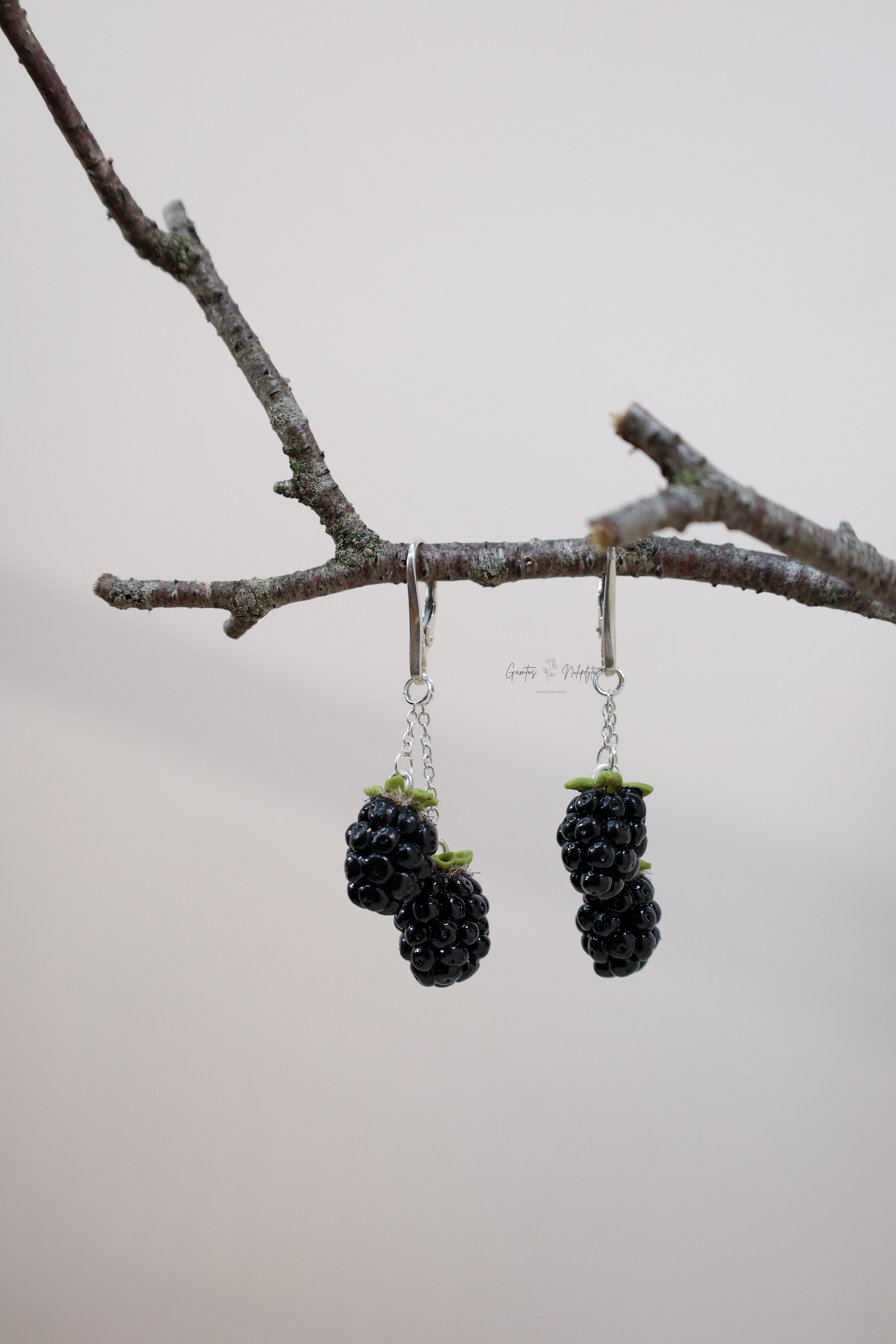 AUSKARAI " GERVUOGĖS" SID. ANGL. UŽS.