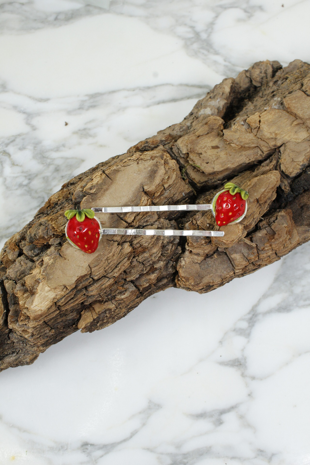 PLAUKŲ SEGTUKAI "BRAŠKYTĖS"