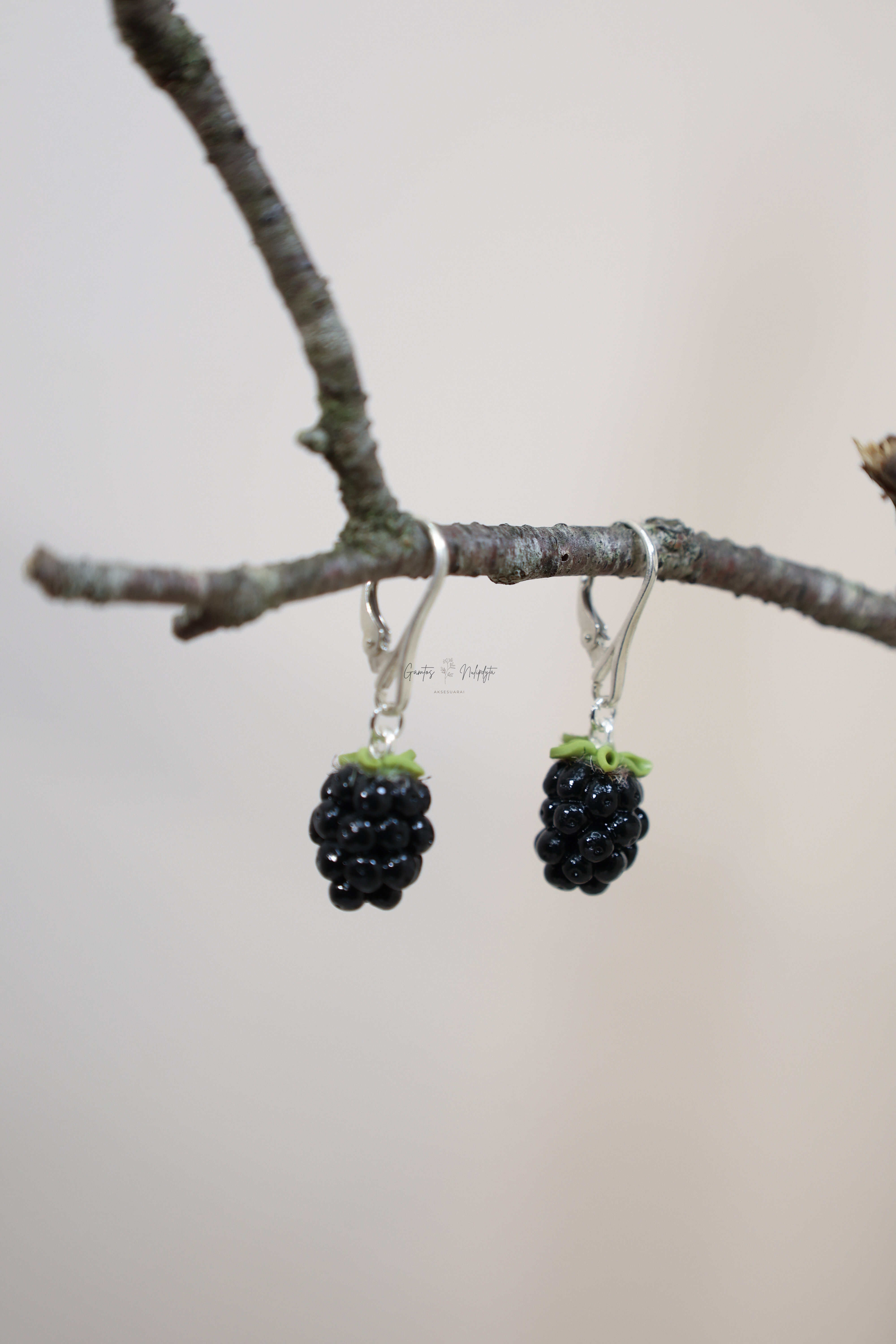 AUSKARAI " GERVUOGĖS" SID. ANGL. UŽS.