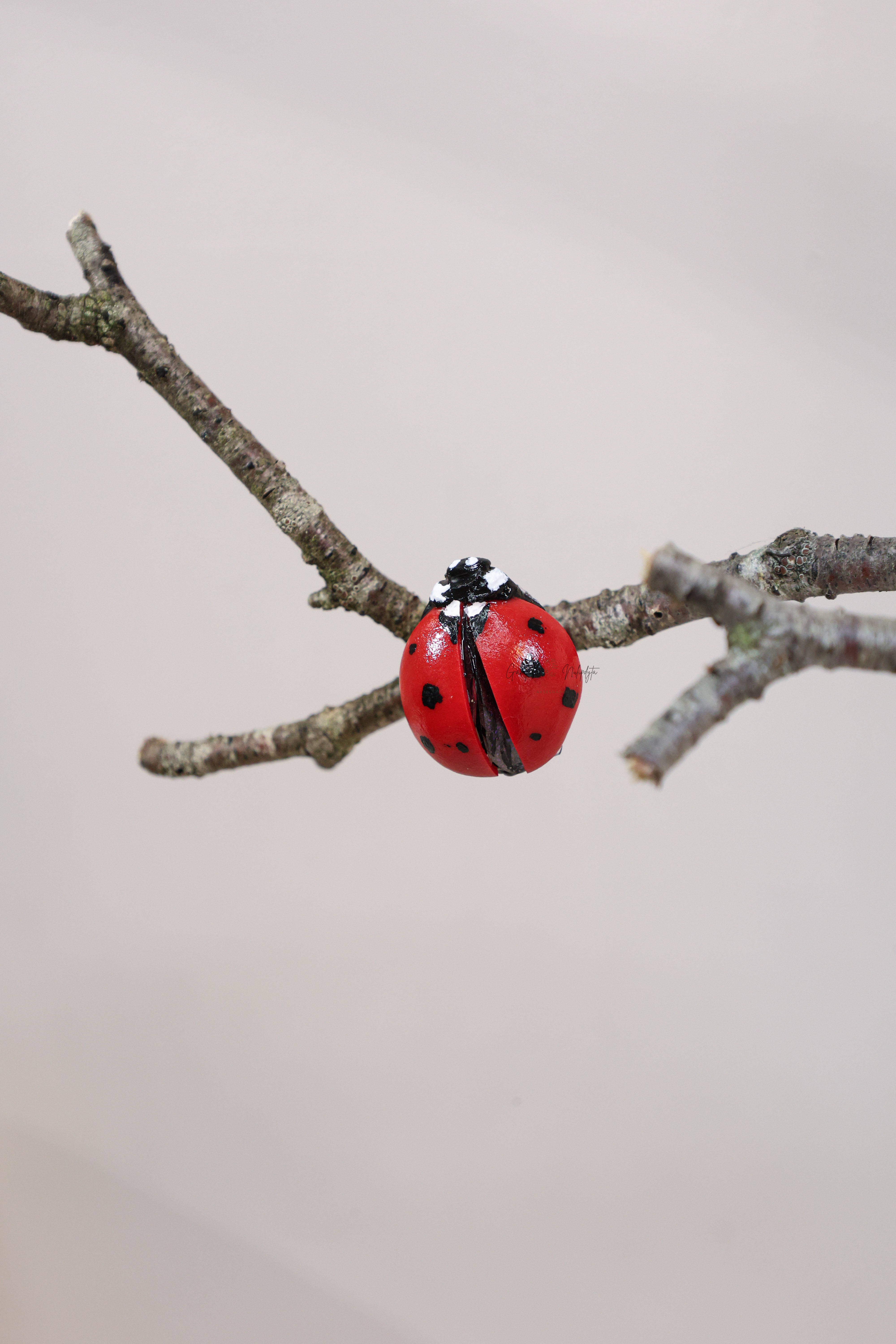 MINI SAGĖ "BORUŽĖLĖ"