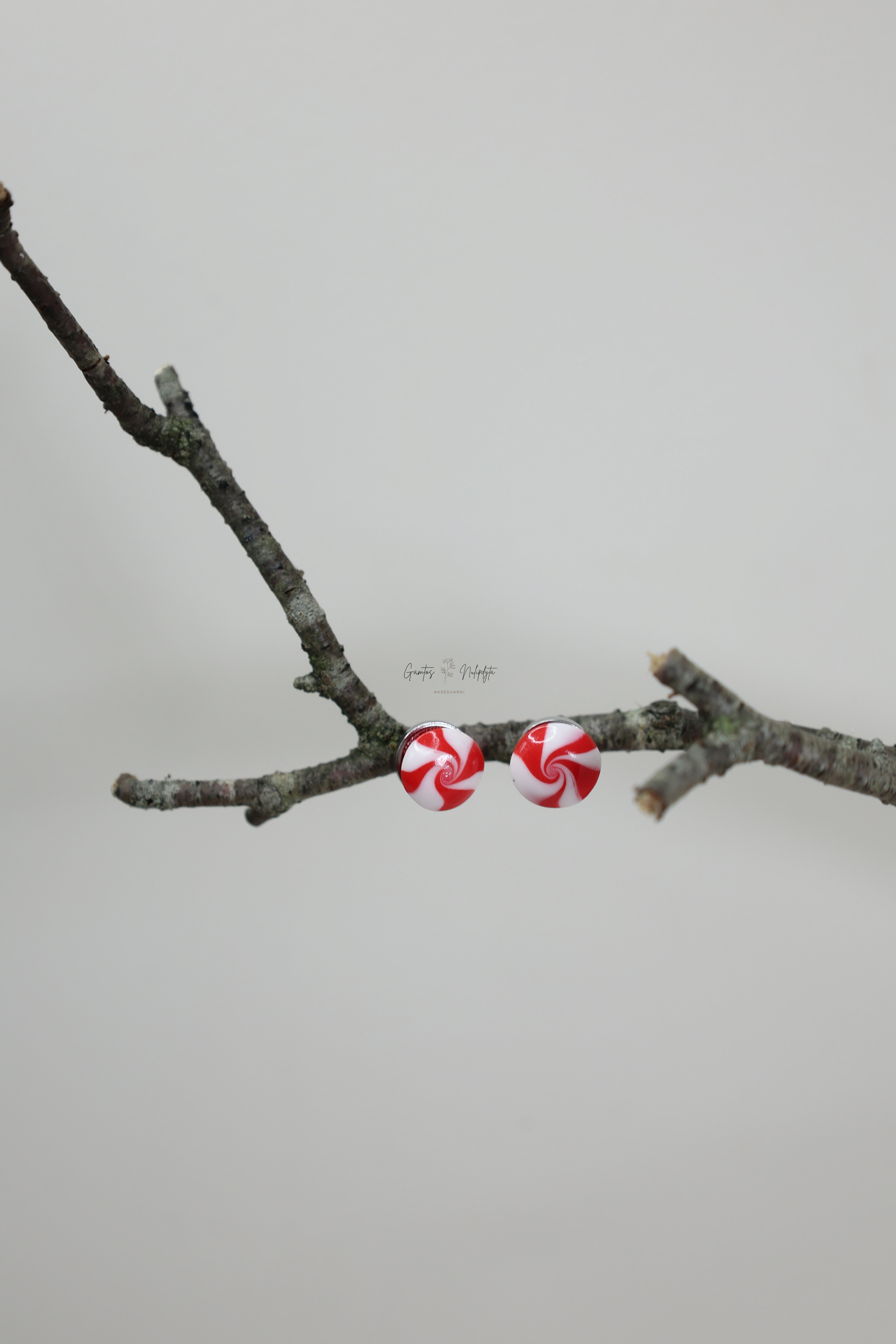 AUSKARAI "SALDAINIUKAI"