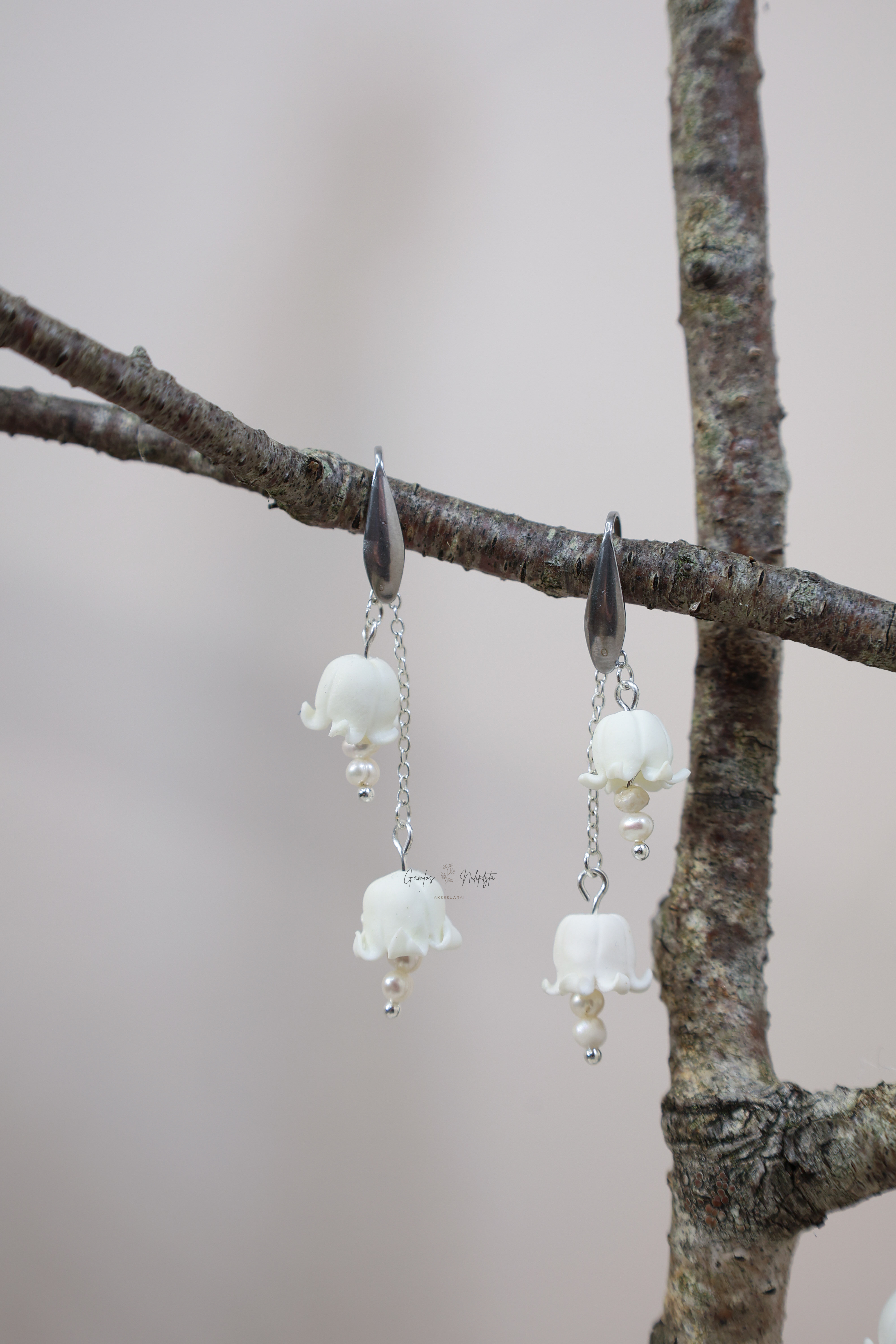 AUSKARAI "PAKALNUTĖS"