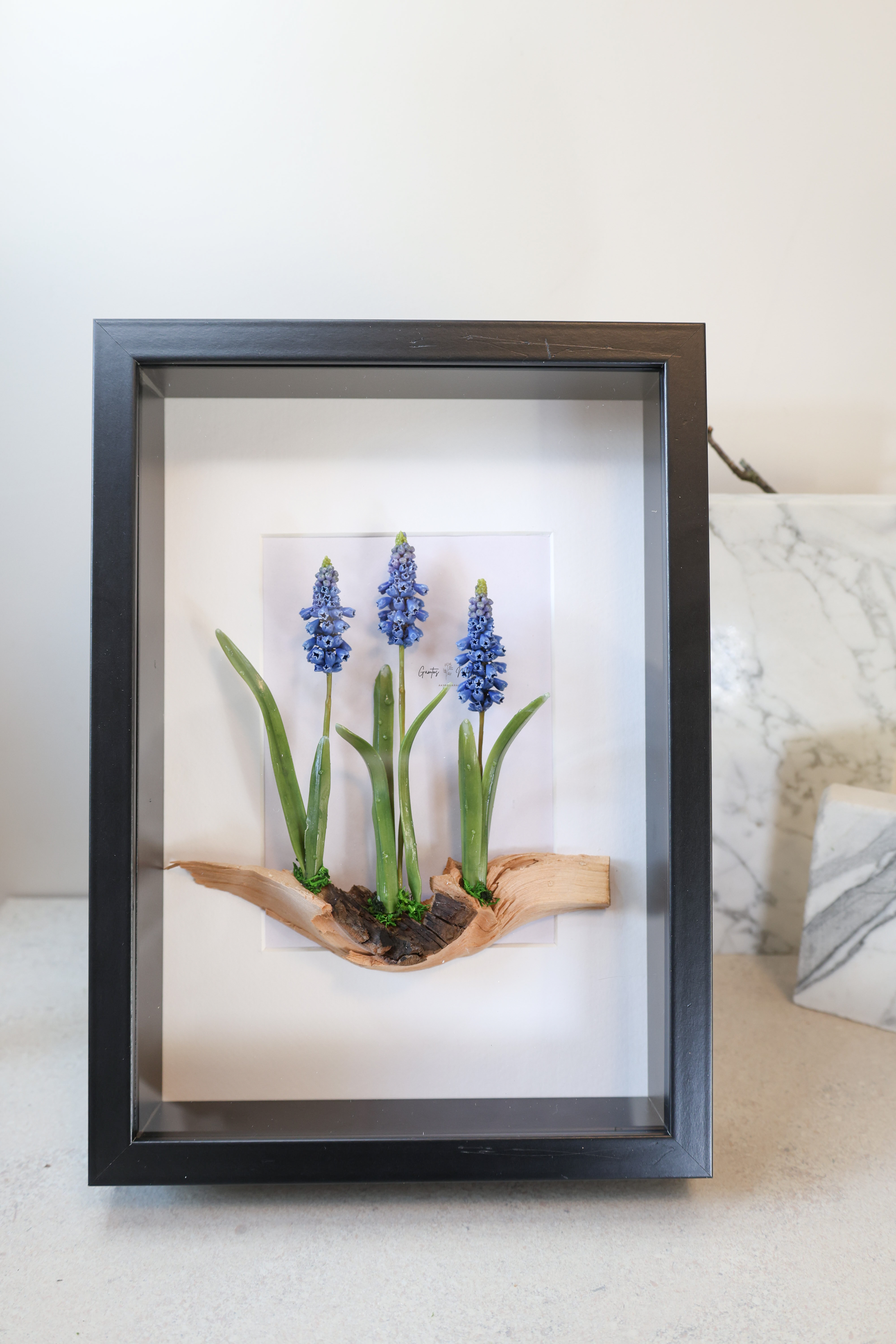 PAVEIKSLAS "ŽYDRĖS"