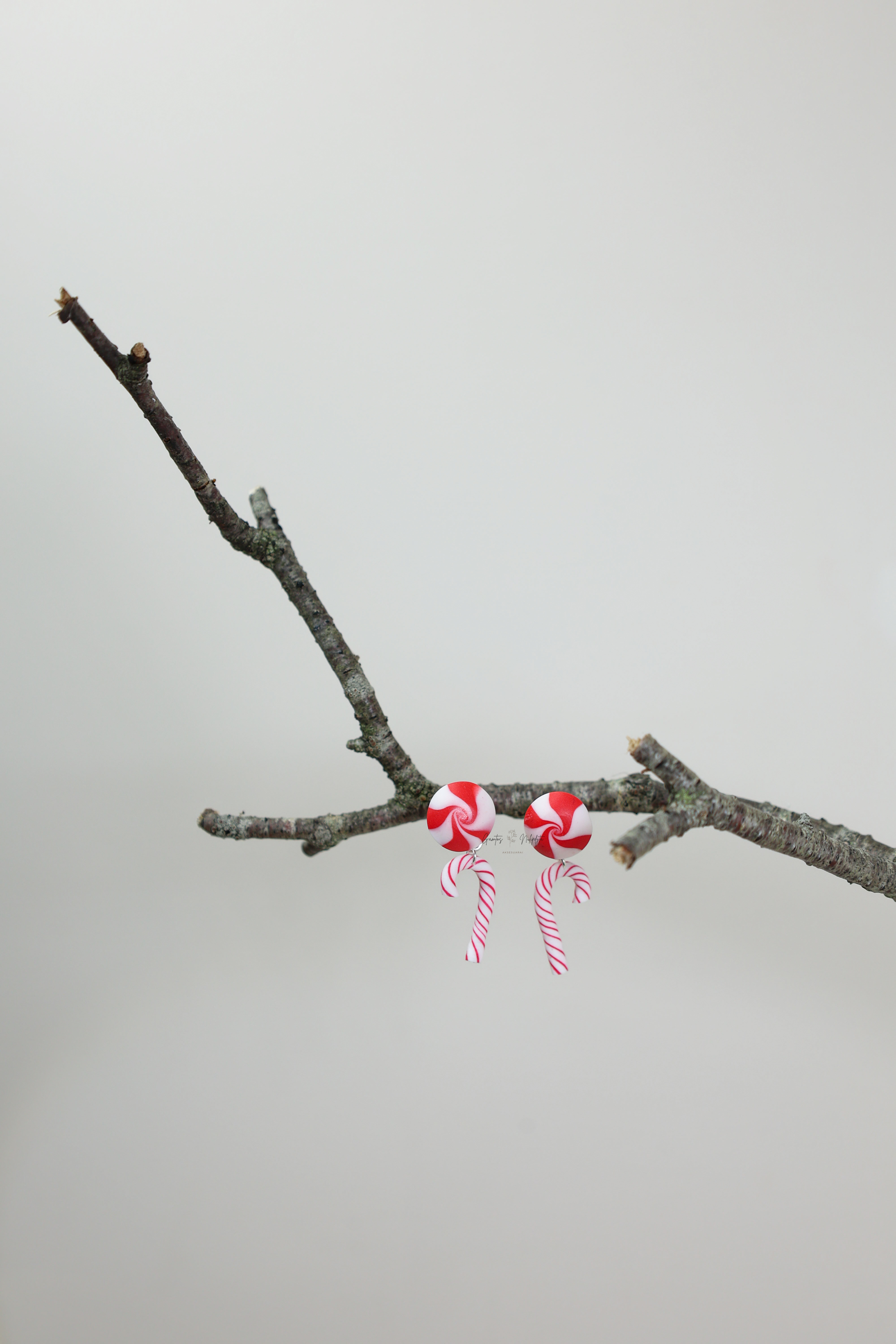 AUSKARAI "SALDAINIUKAI" SID.VIN.