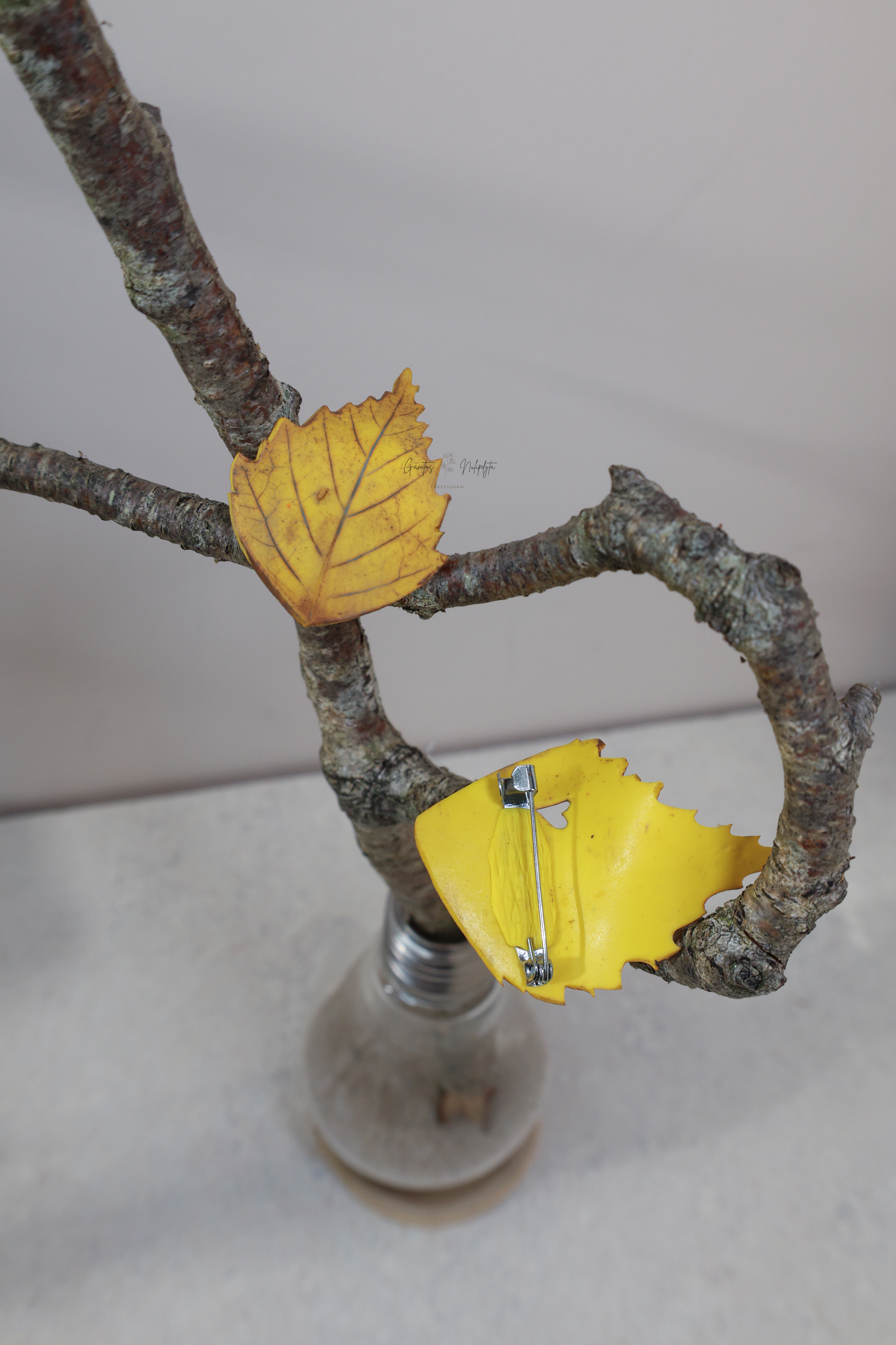 SAGĖ "BERŽO L." SU ŽIOGELIU