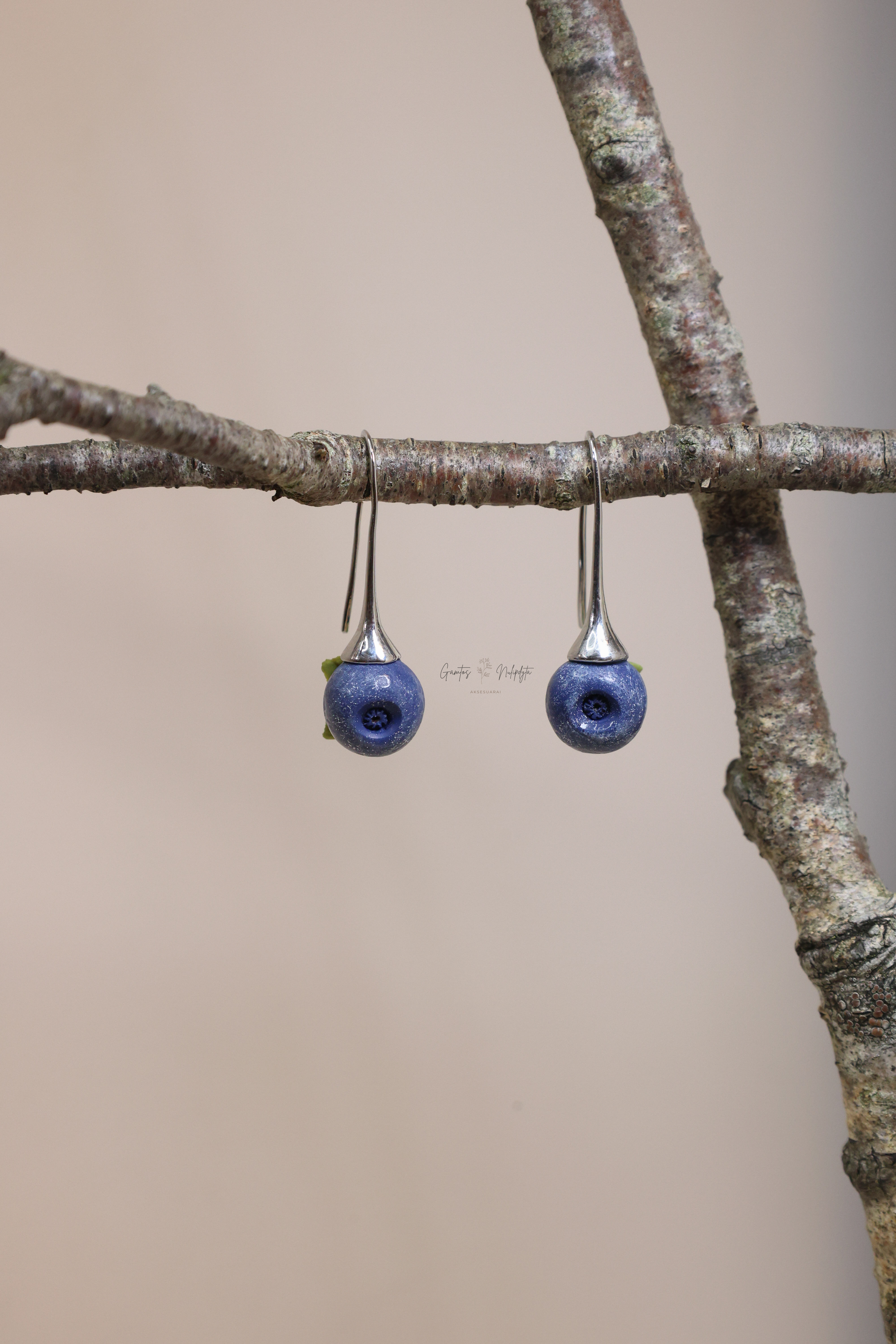 AUSKARAI "MĖLYNĖS"