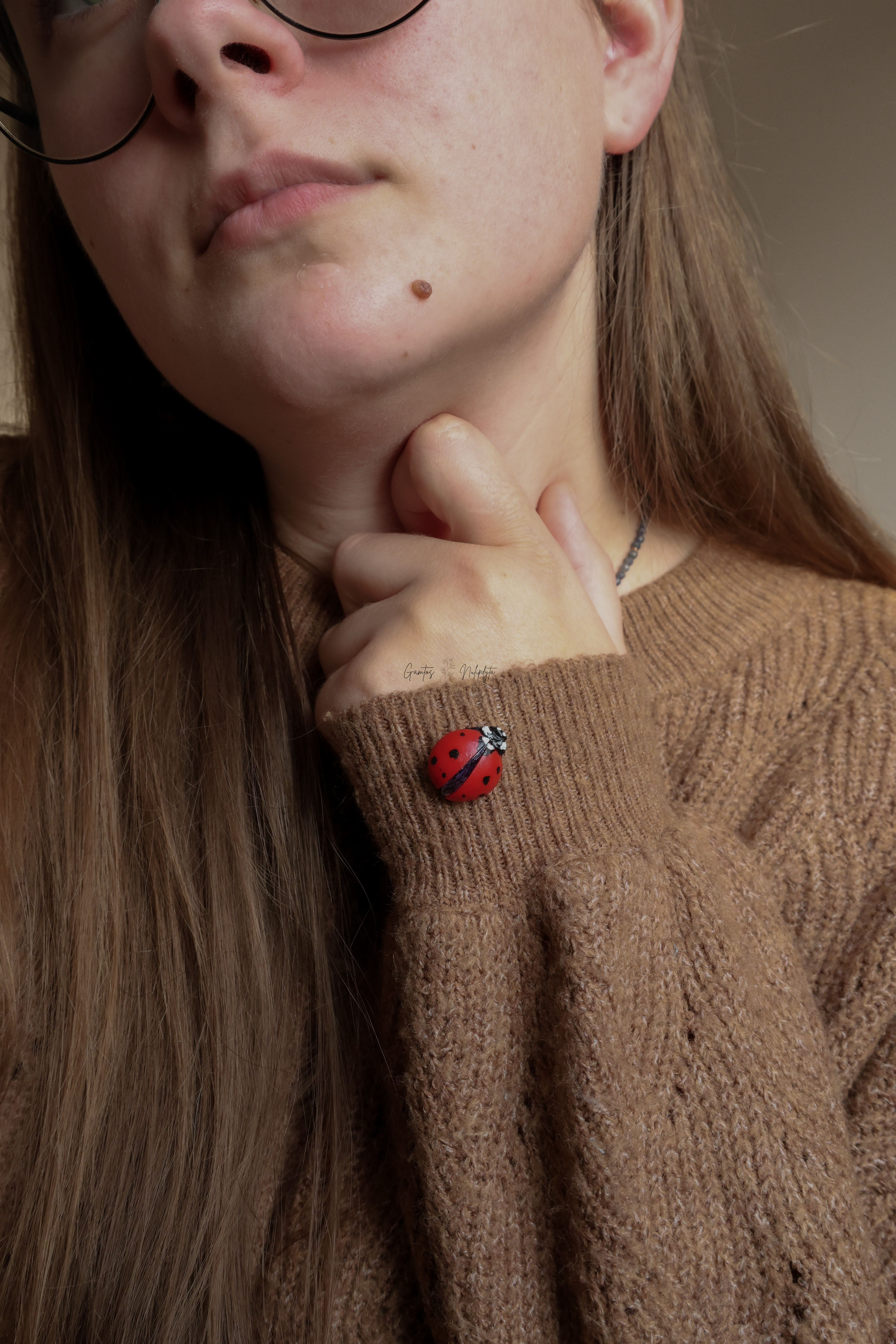 MINI SAGĖ "BORUŽĖLĖ"