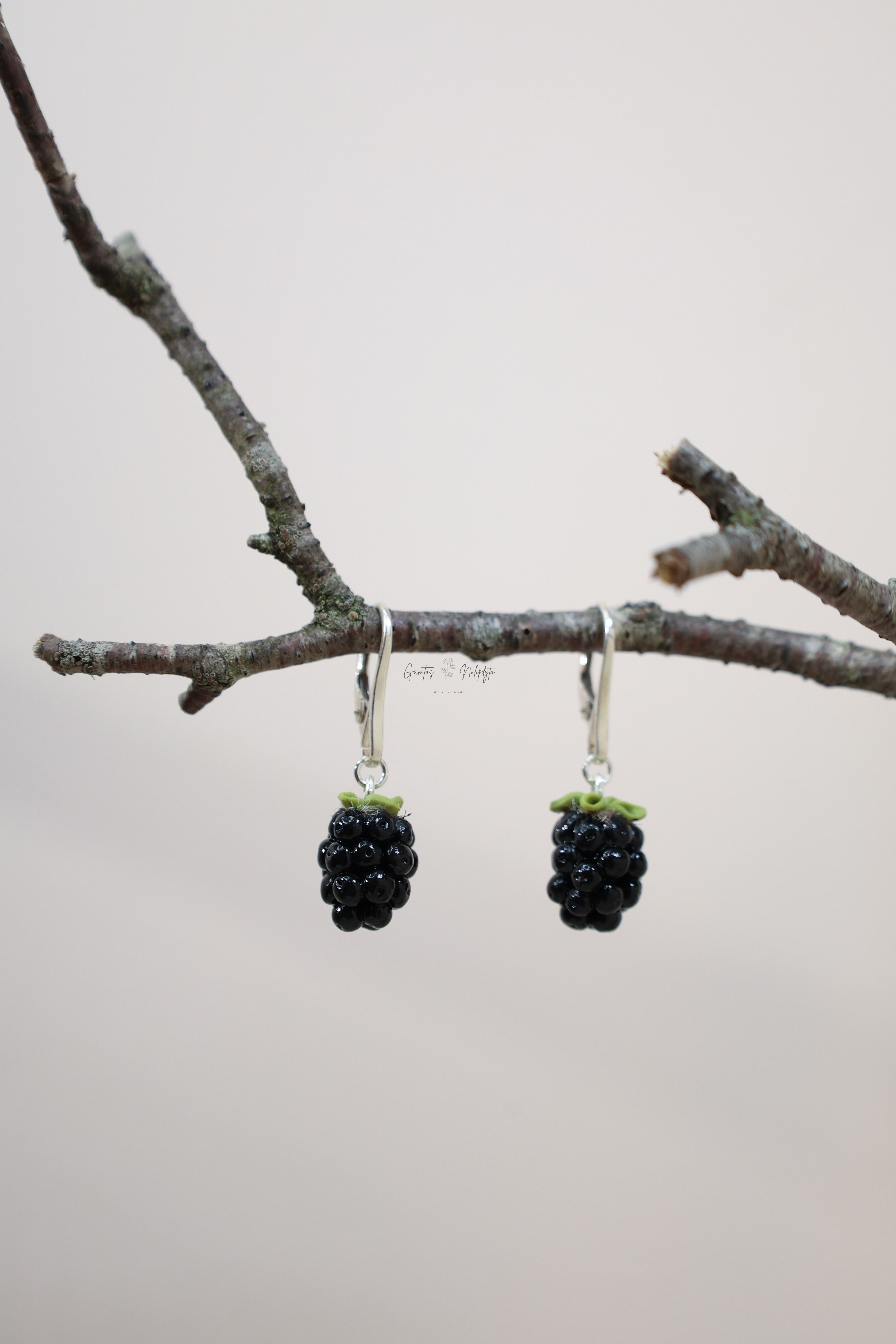 AUSKARAI " GERVUOGĖS" SID. ANGL. UŽS.