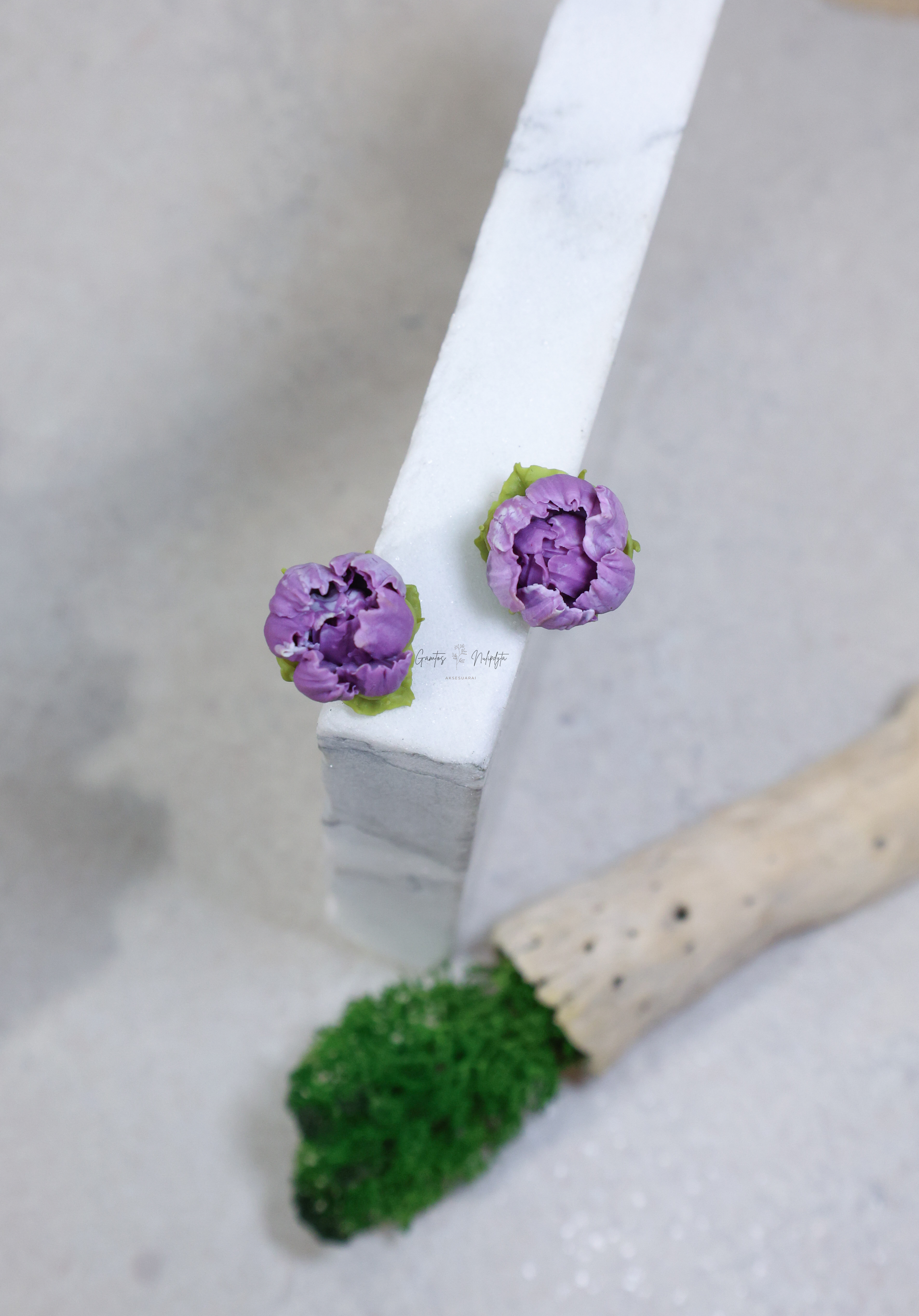 AUSKARAI "BIJŪNAI" SID.VIN.