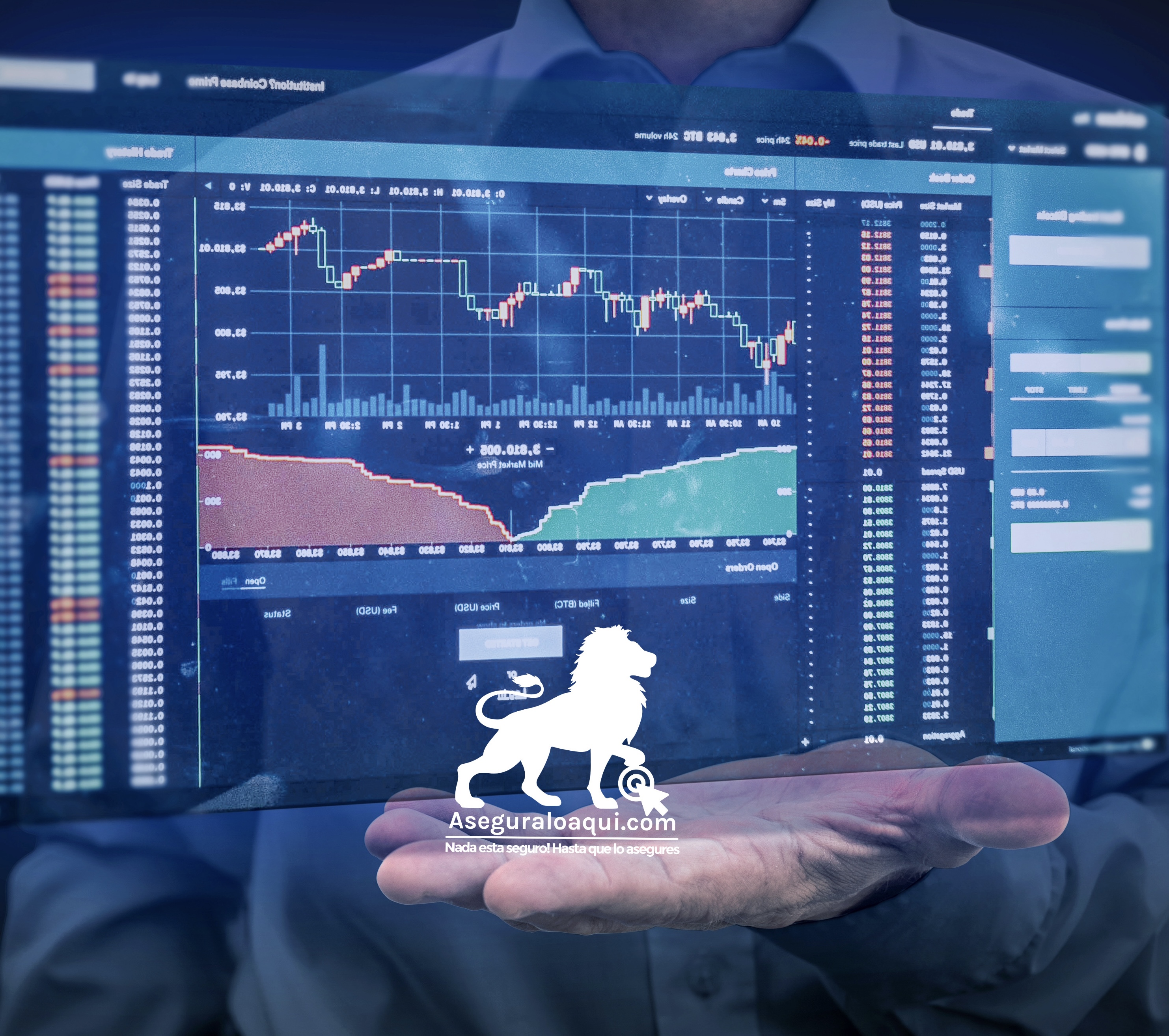  Entrenamiento (Coaching)online 