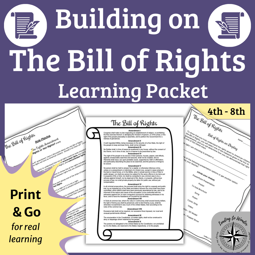 Bill of Rights: Interpretation & Application Activities | Constitution Study for Grades 4–8