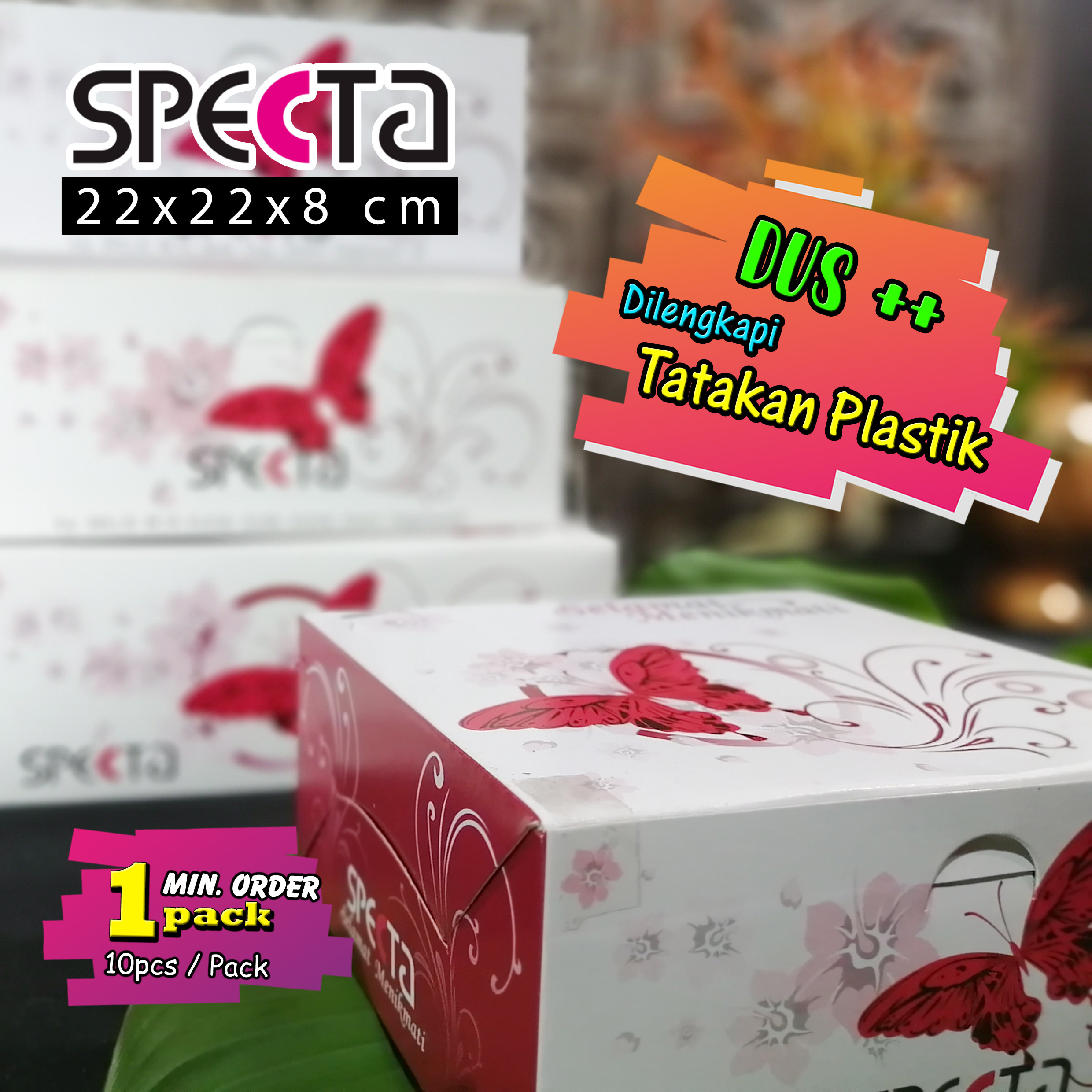 Box Nasi Kotak 22x22x8 SPECTA