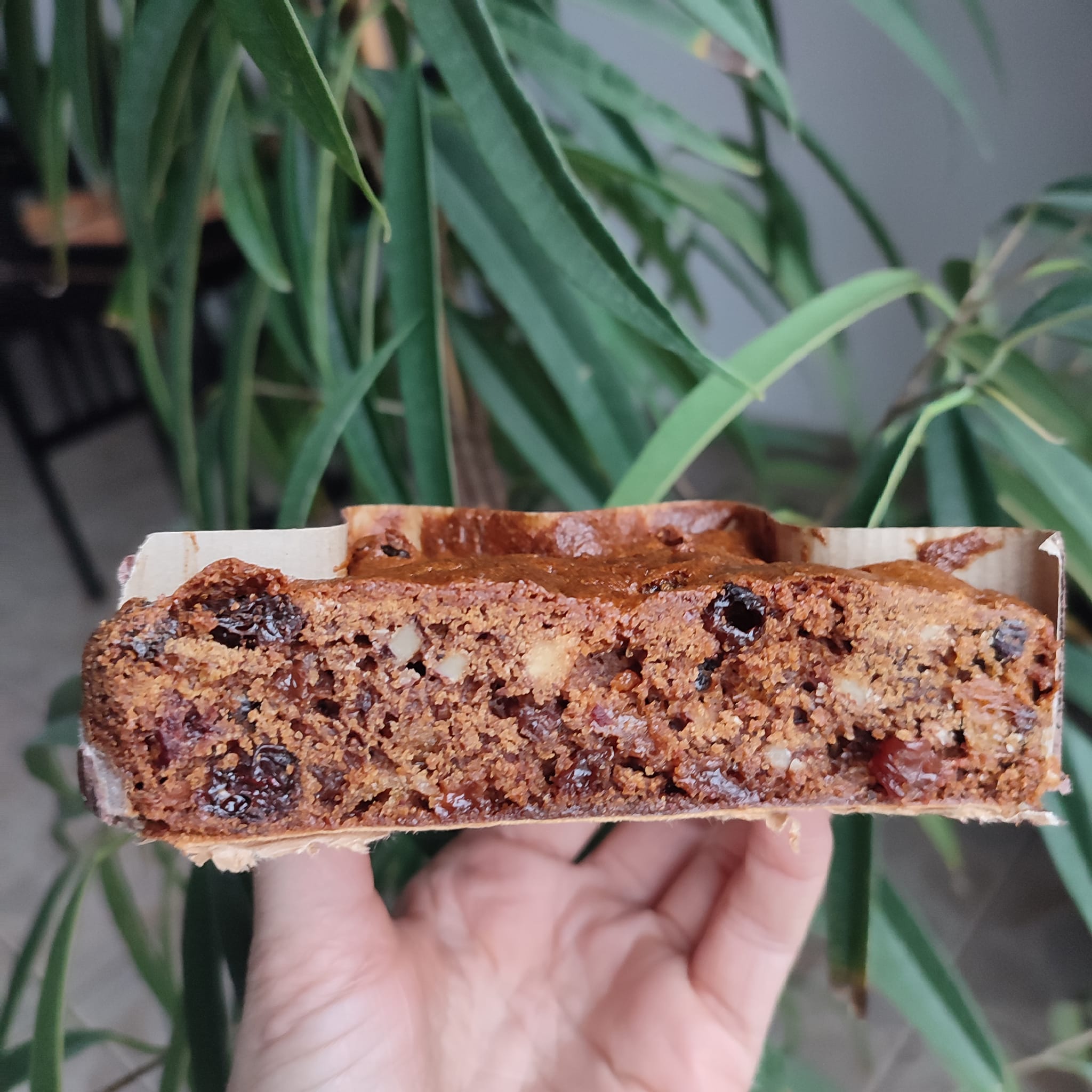 Brandintas pyragas su riešutais ir vaisiais