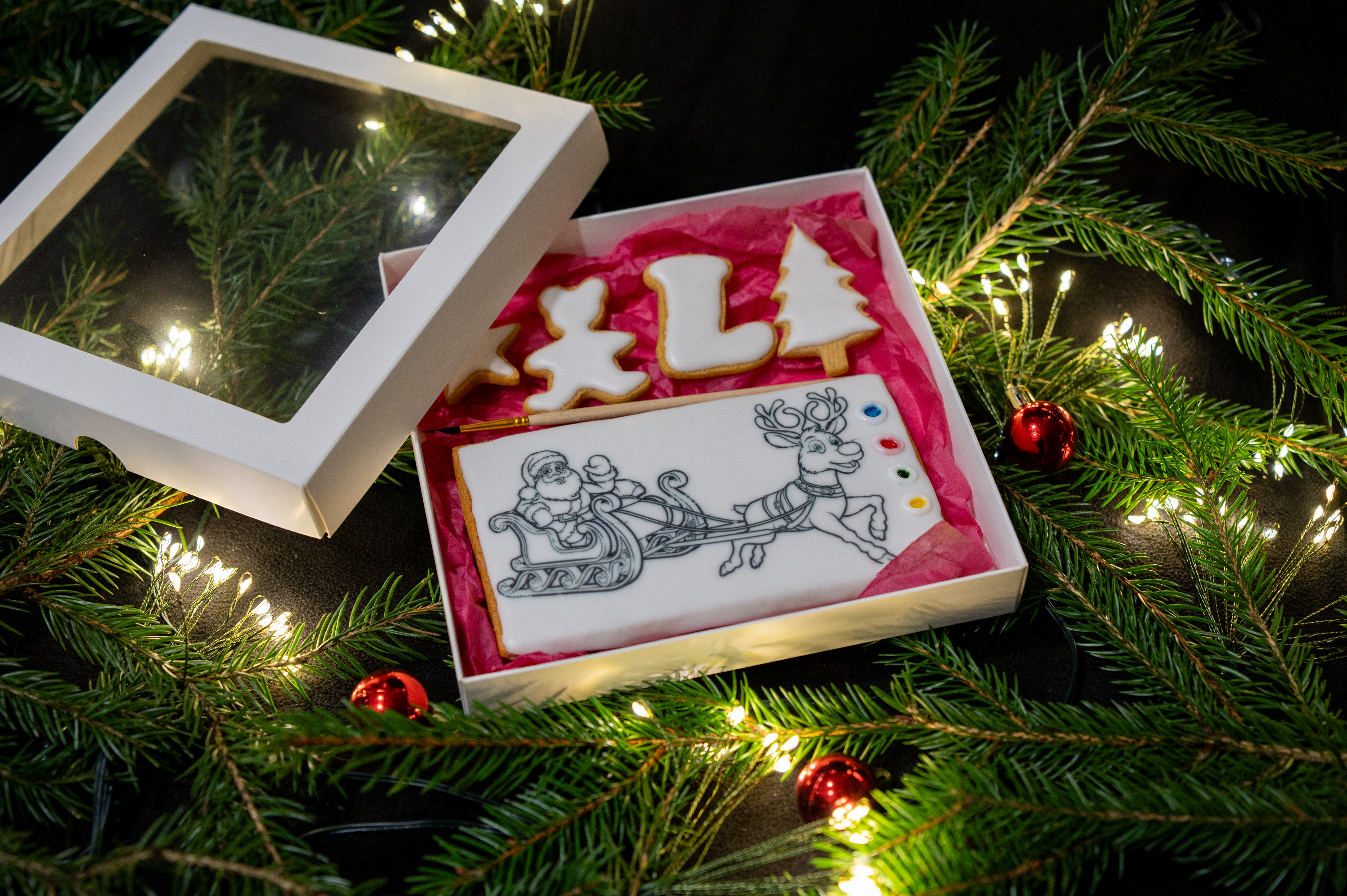 Spalvinimo Kalėdinis meduolis