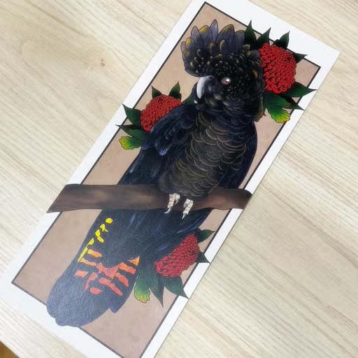 Black Cockatoo