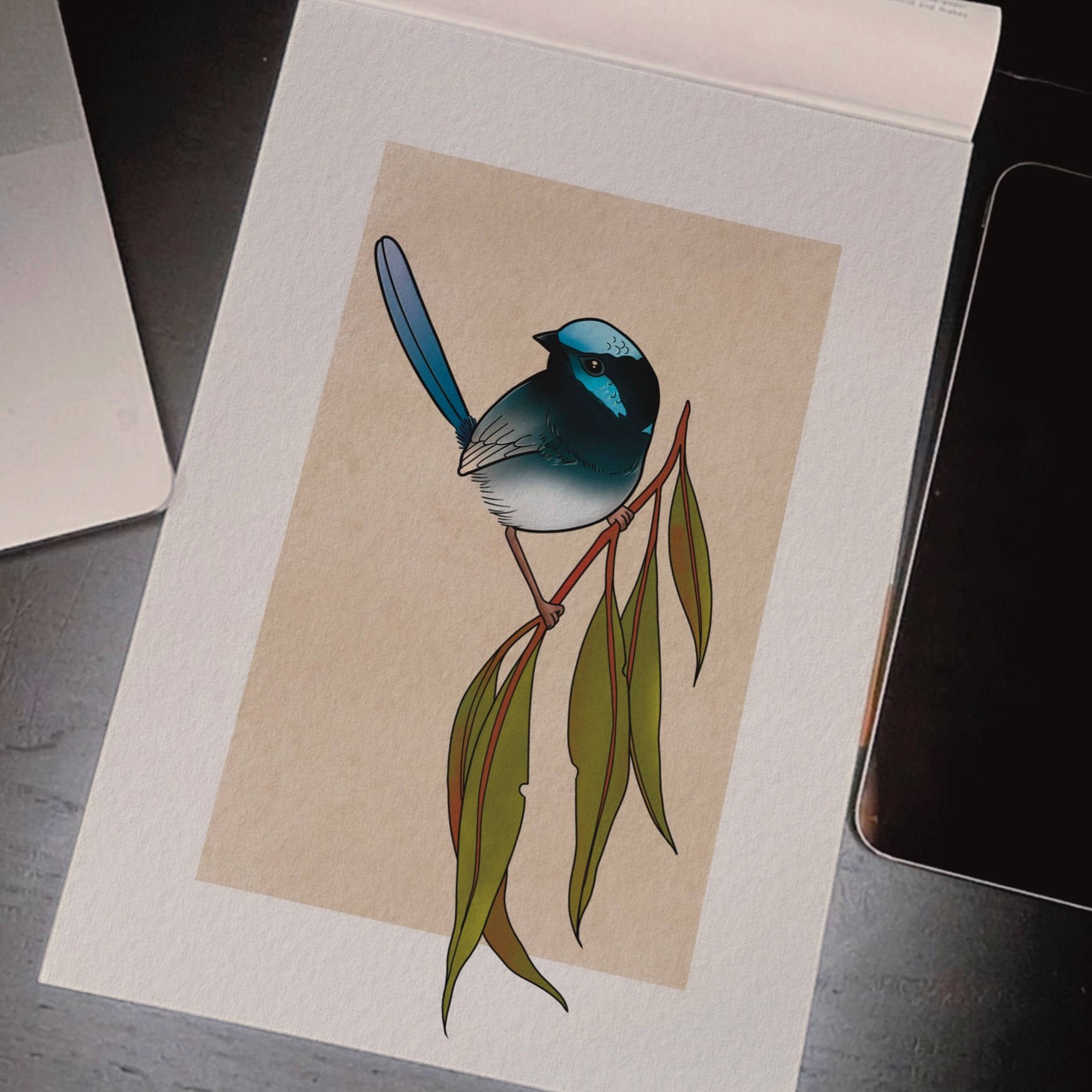 Superb Fairy Wren