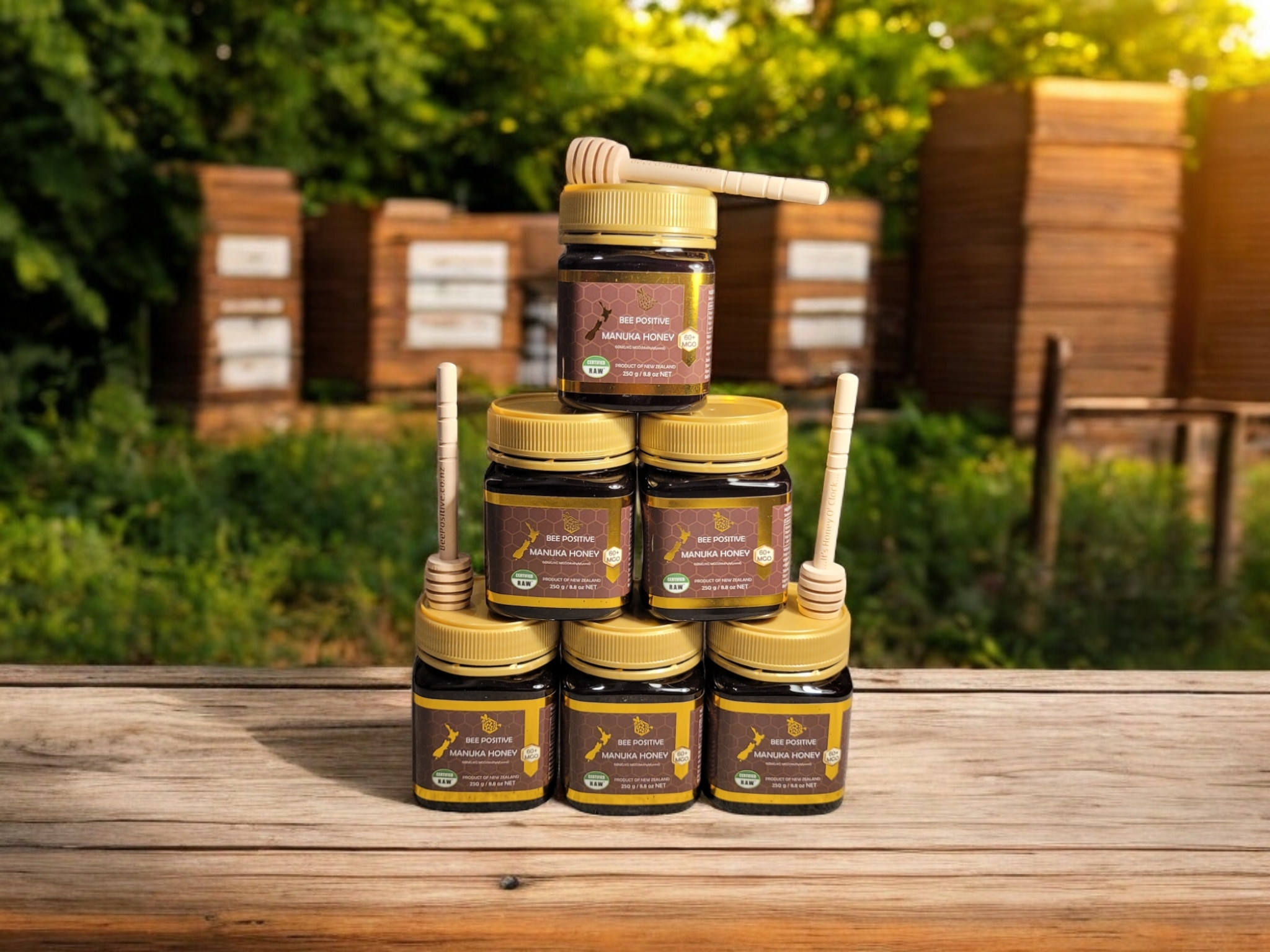 Bee Positive Manuka Honey MGO 60+ - Pack of 6 (250g each)