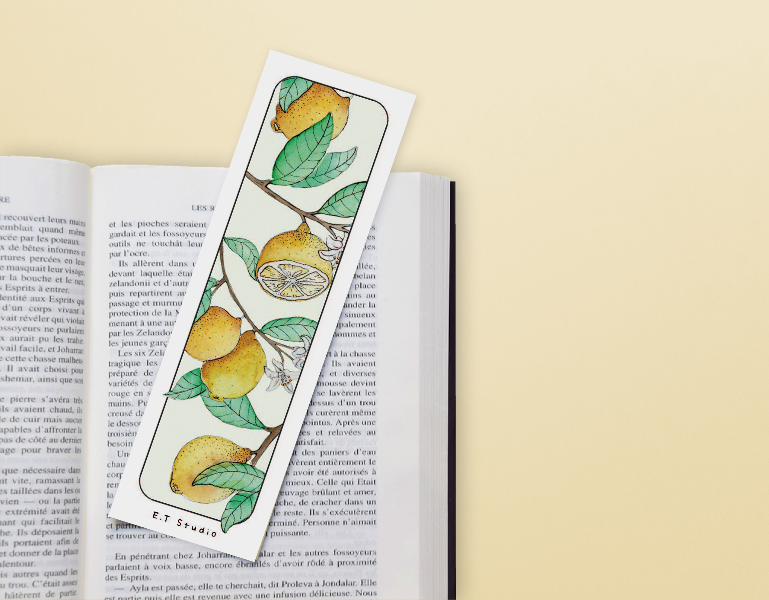 Lot de 3 marque-pages