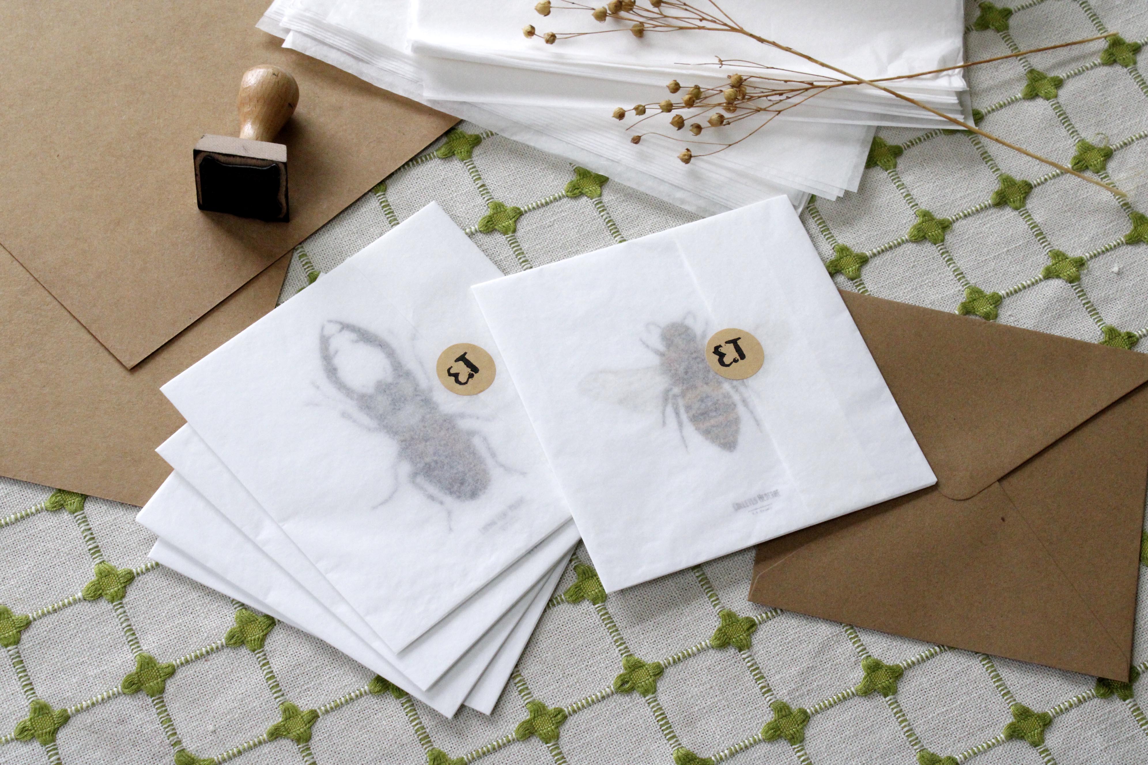 Carte insecte - Reproduction aquarelle - Carabé Doré