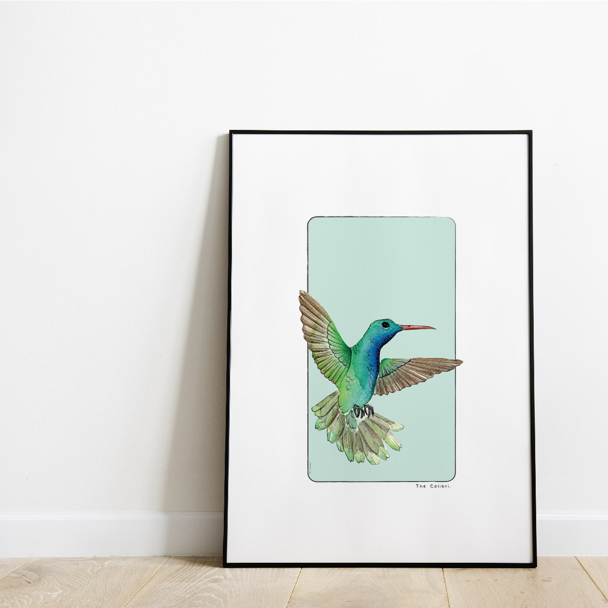 Carte postale & Affiche papier aquarelle - Colibri