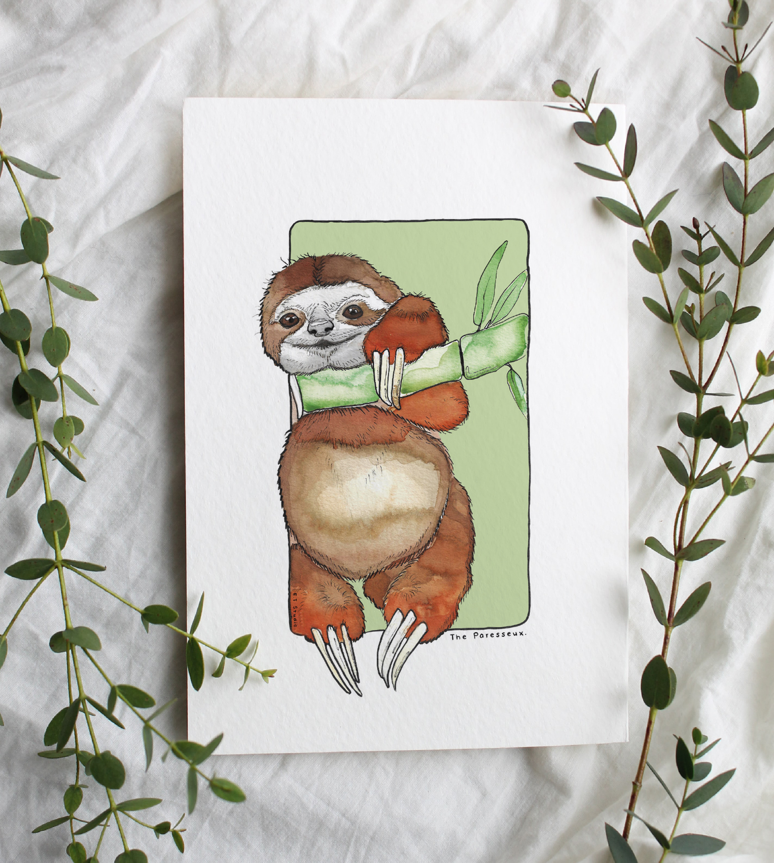 Carte postale & Affiche papier aquarelle - Paresseux