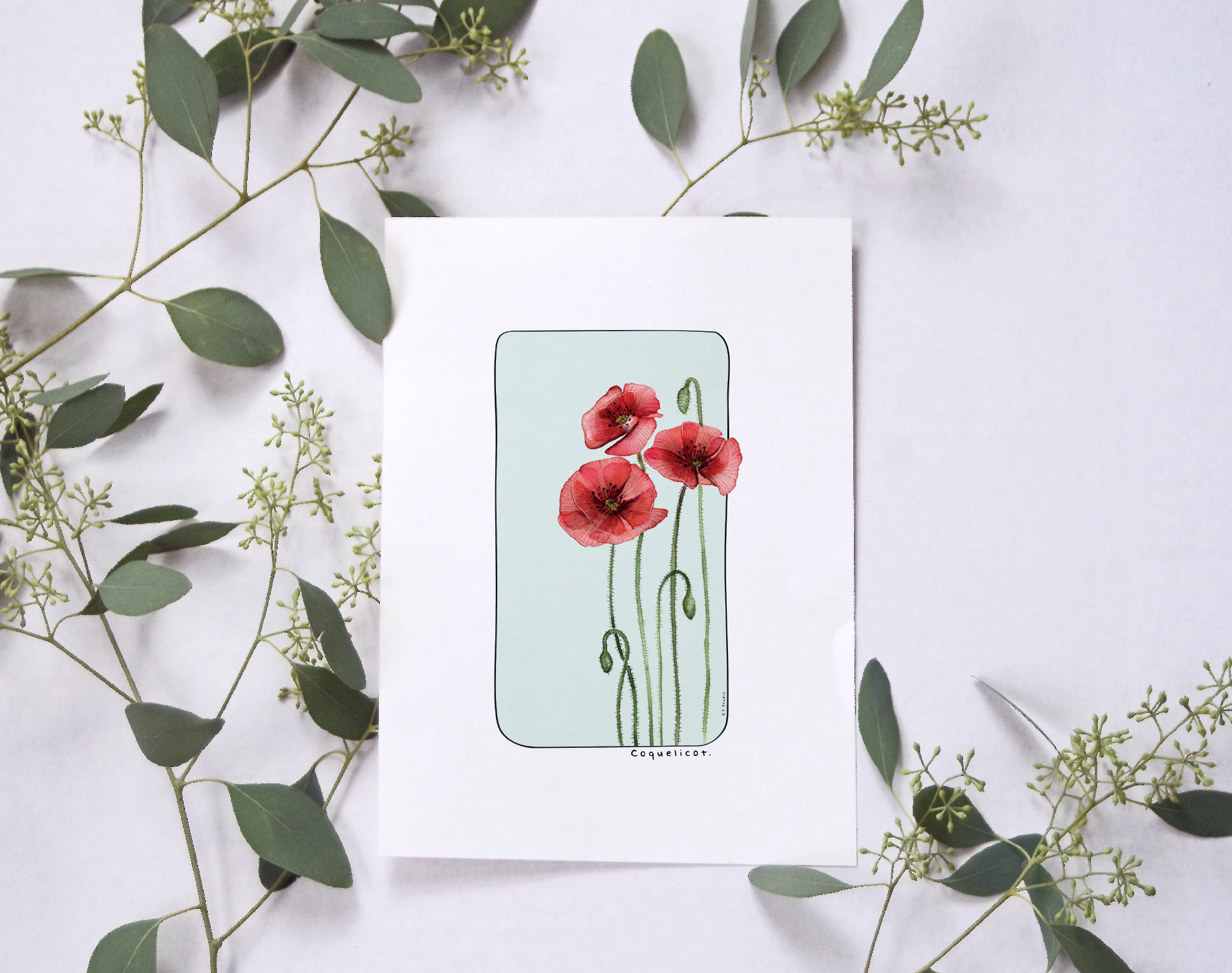 Affiche papier aquarelle A5 et carte postale - Coquelicot