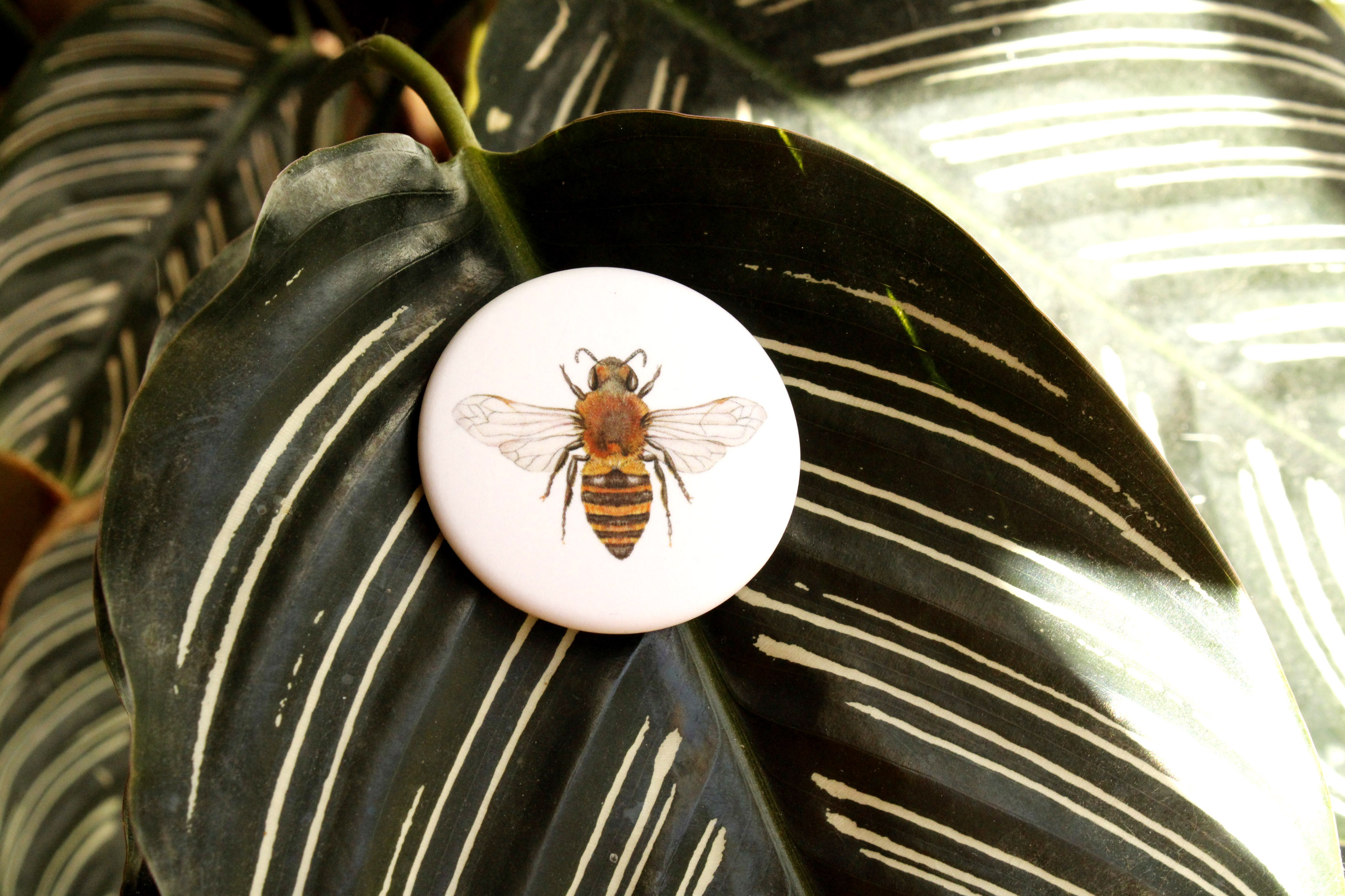 Badge Abeille