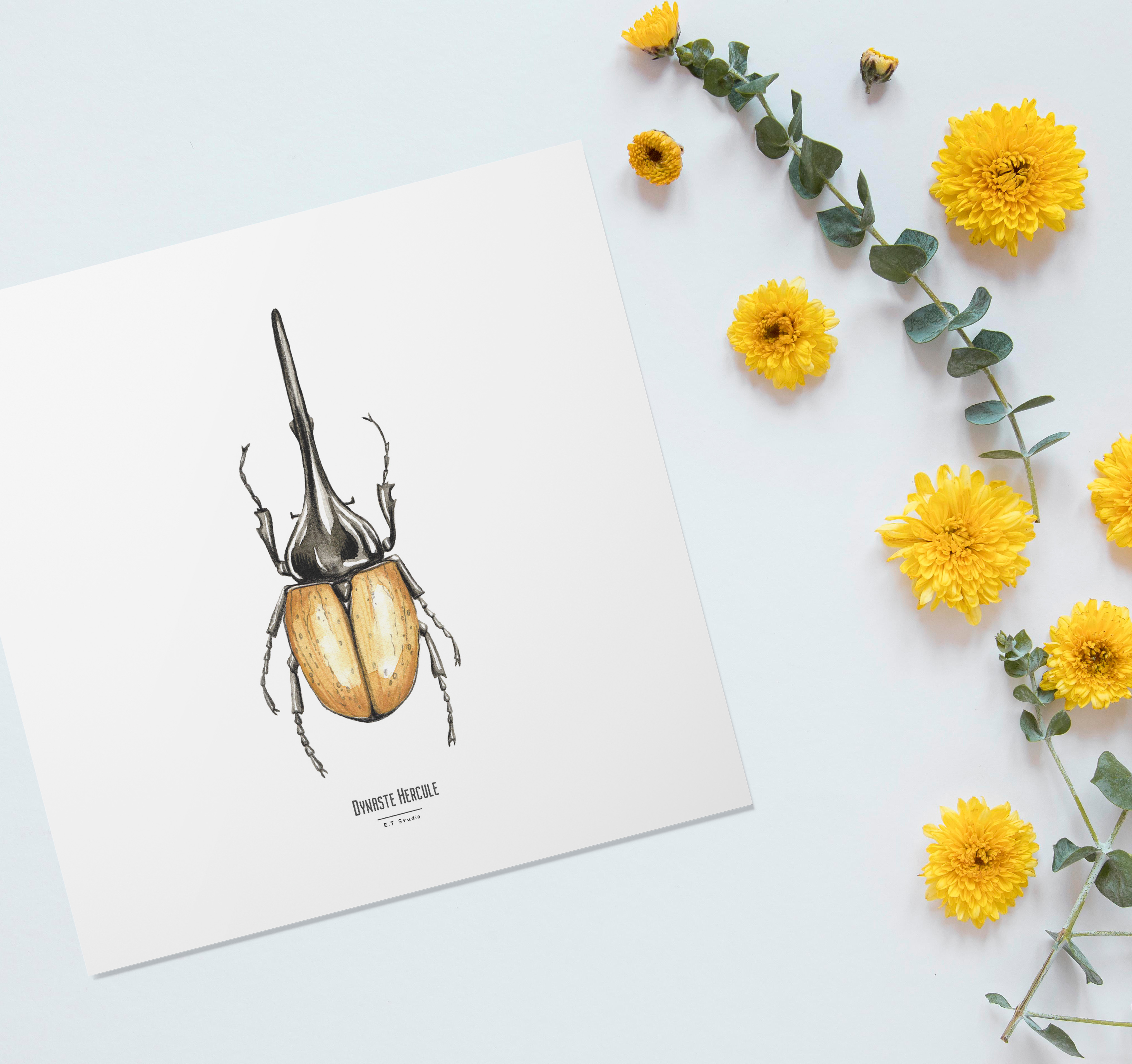 Carte insecte - Reproduction aquarelle - Dynaste Hercule