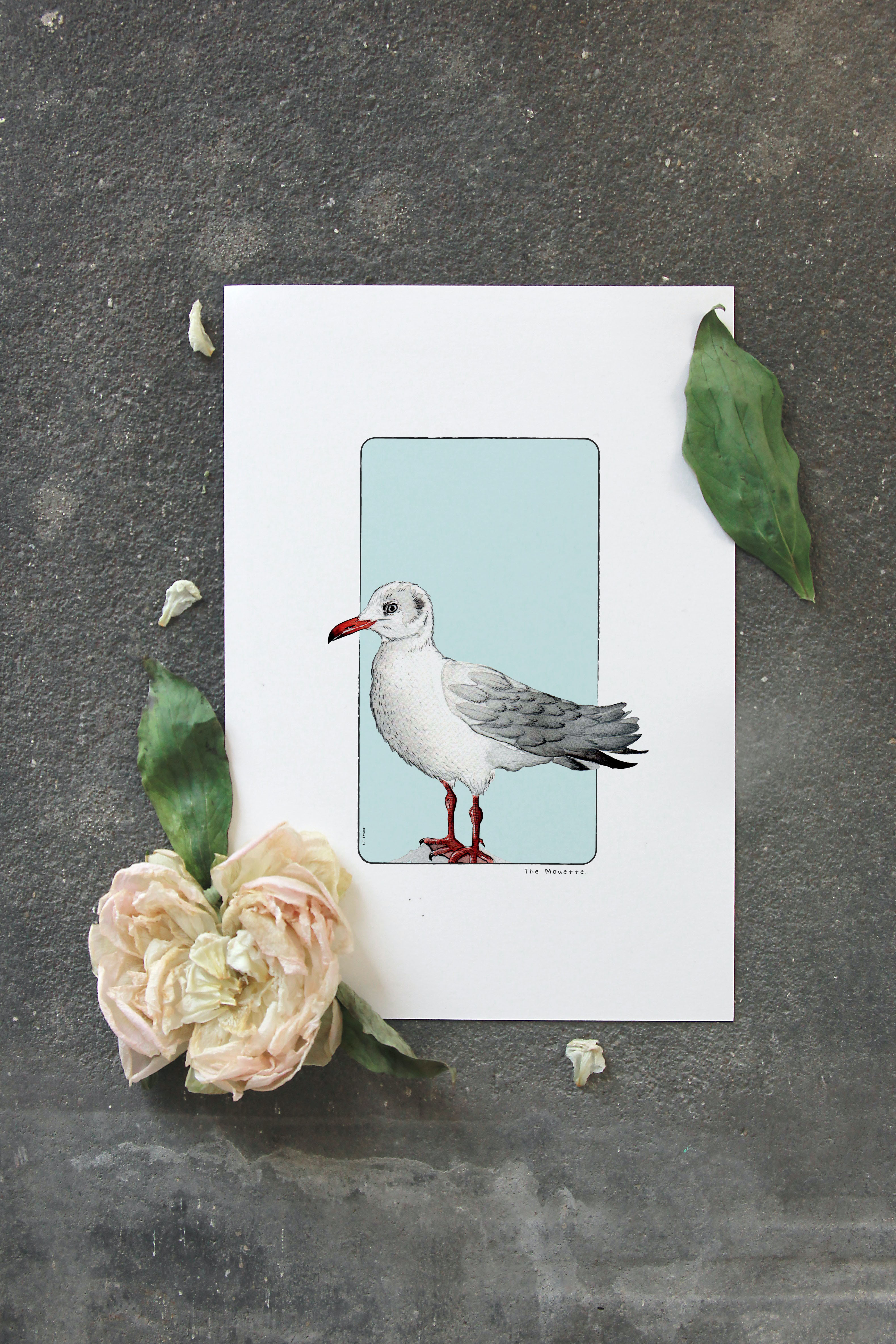 Carte postale & Affiche papier aquarelle - Mouette