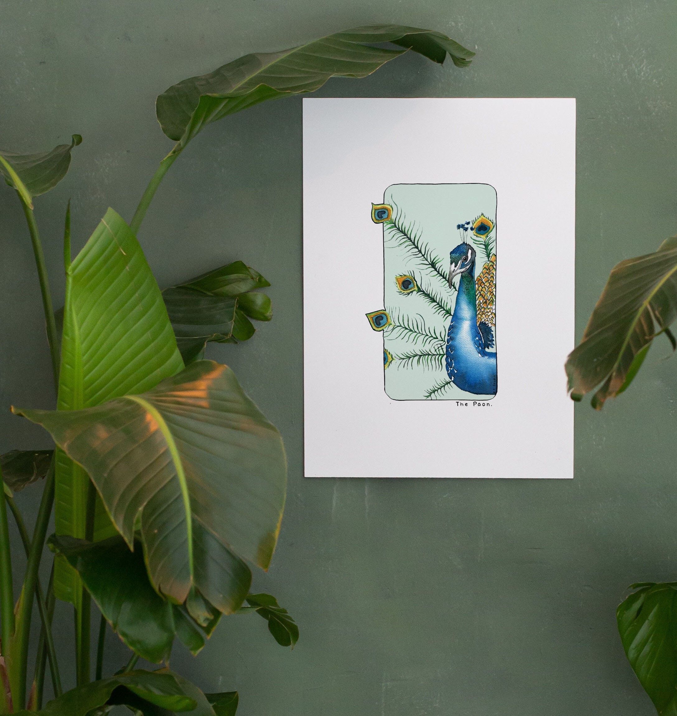 Carte postale & Affiche papier aquarelle - Paon