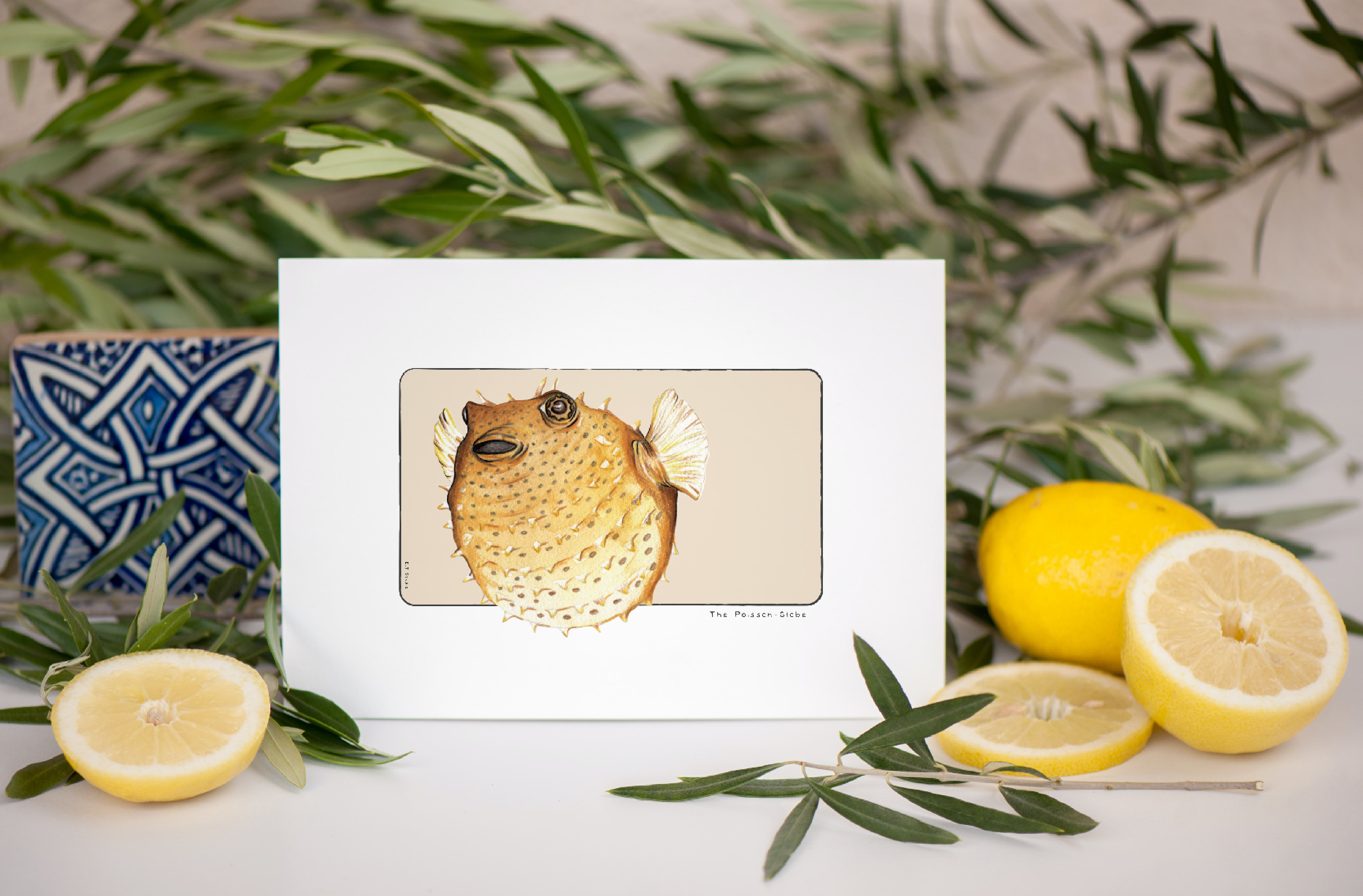 Carte postale & Affiche papier aquarelle - Poisson Globe