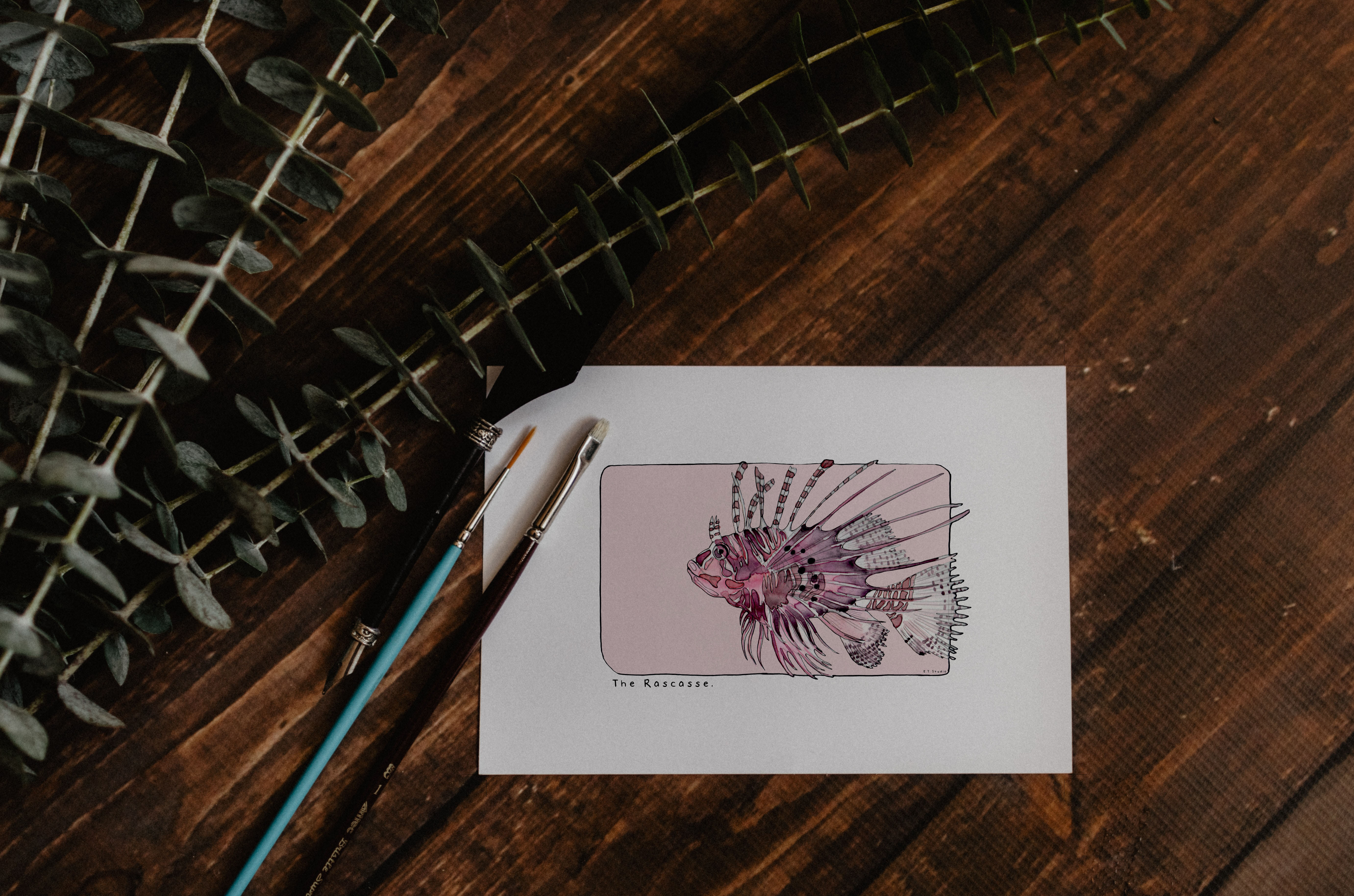 Carte postale & Affiche papier aquarelle - Rascasse