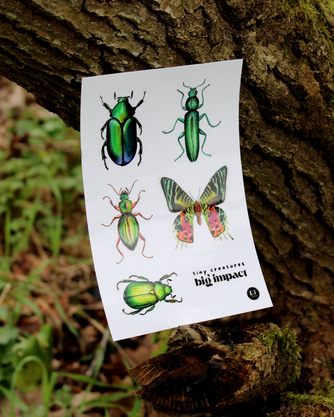 Planche de stickers - Insectes - Tiny creatures, big impact !