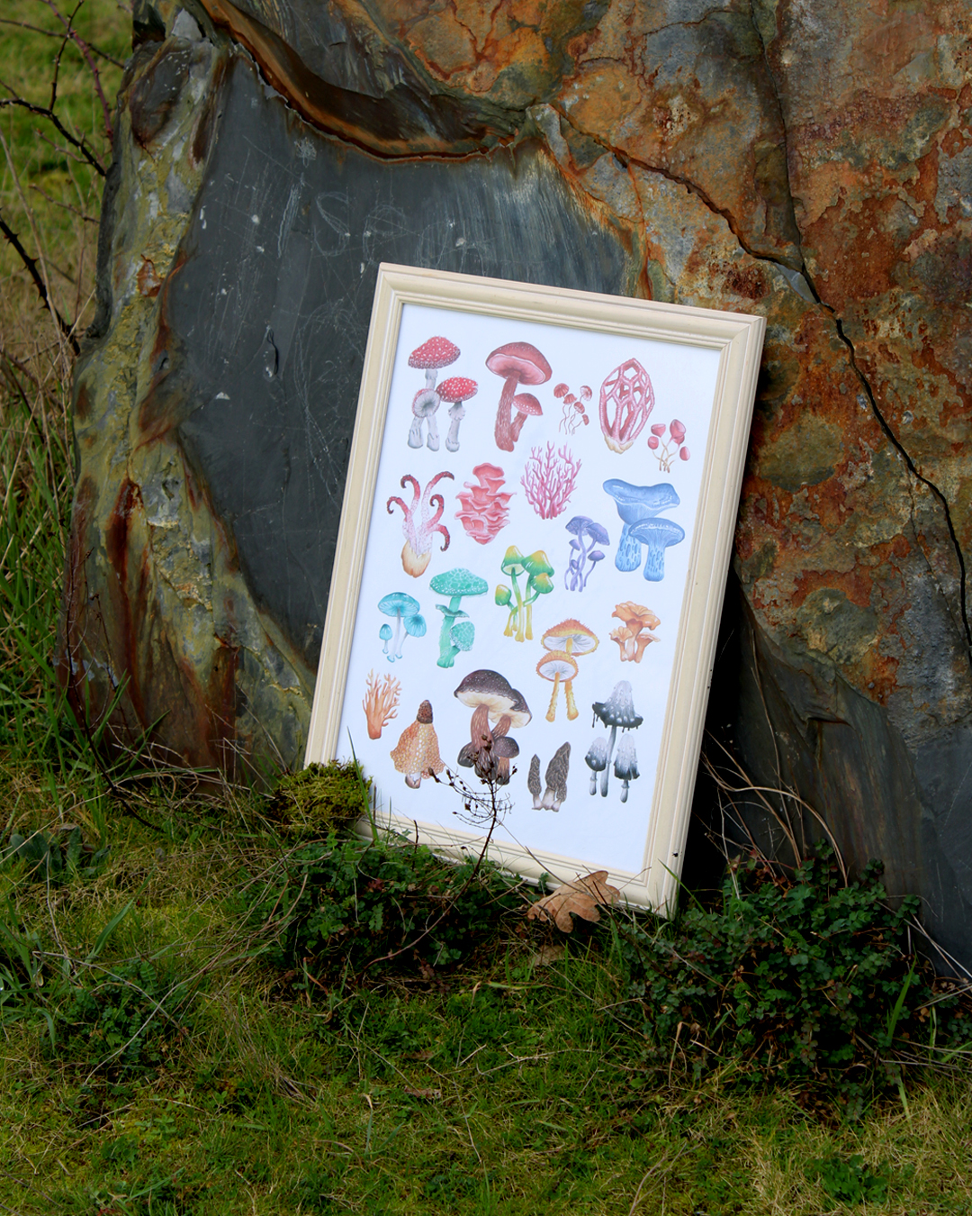 Affiche papier - Aquarelles champignons