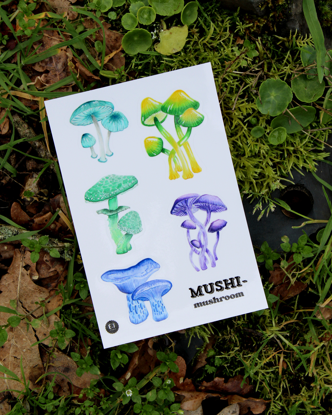 Planche de stickers - Champignons - Mushi-mushroom !
