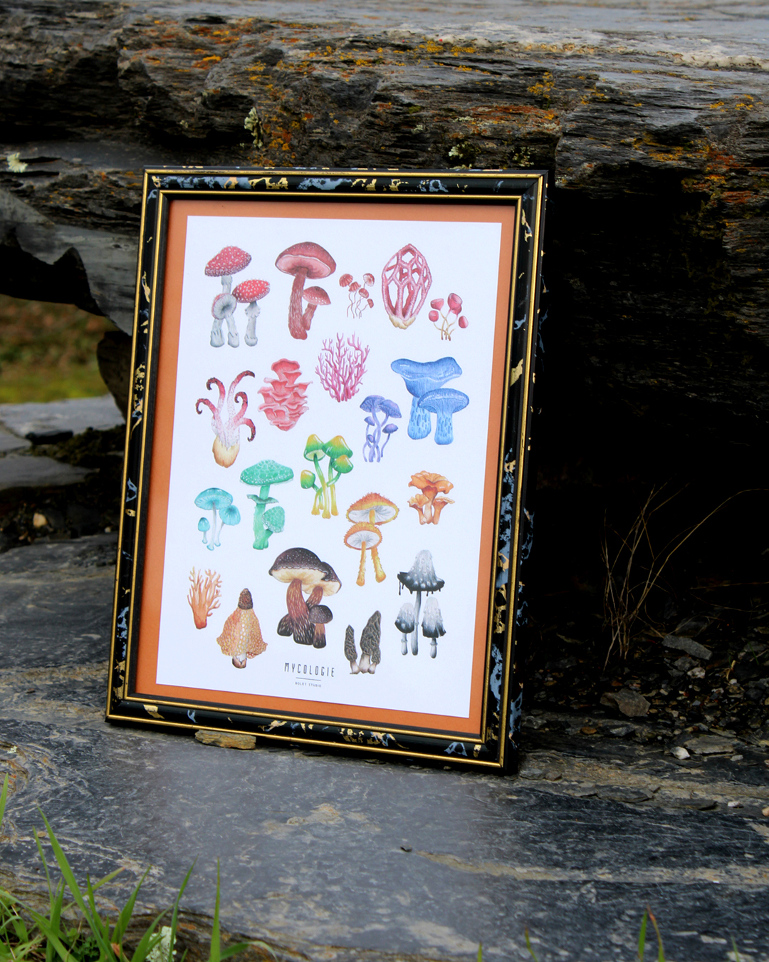 Affiche papier - Aquarelles champignons