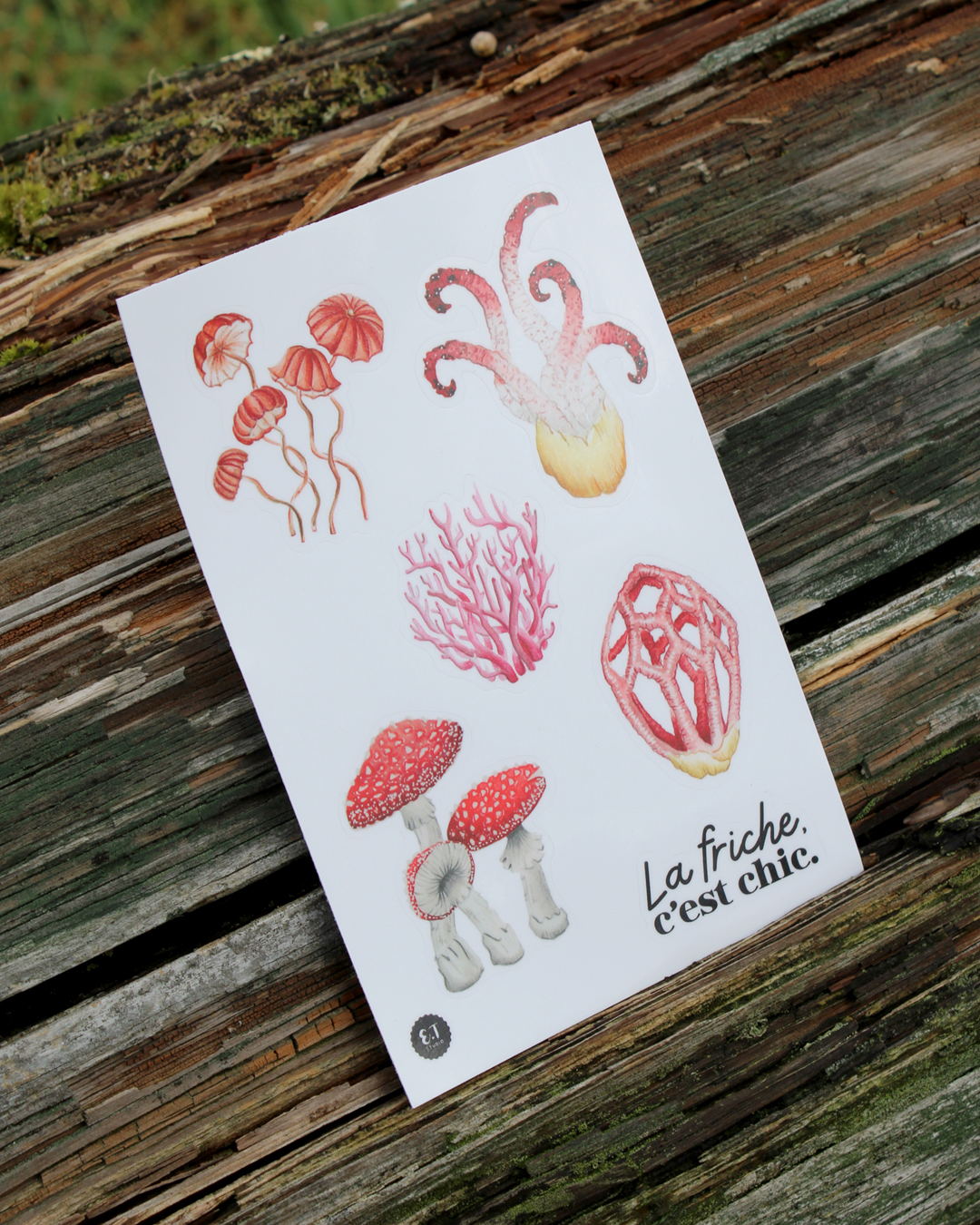 Planche de stickers - Champignons - La friche, c'est chic !